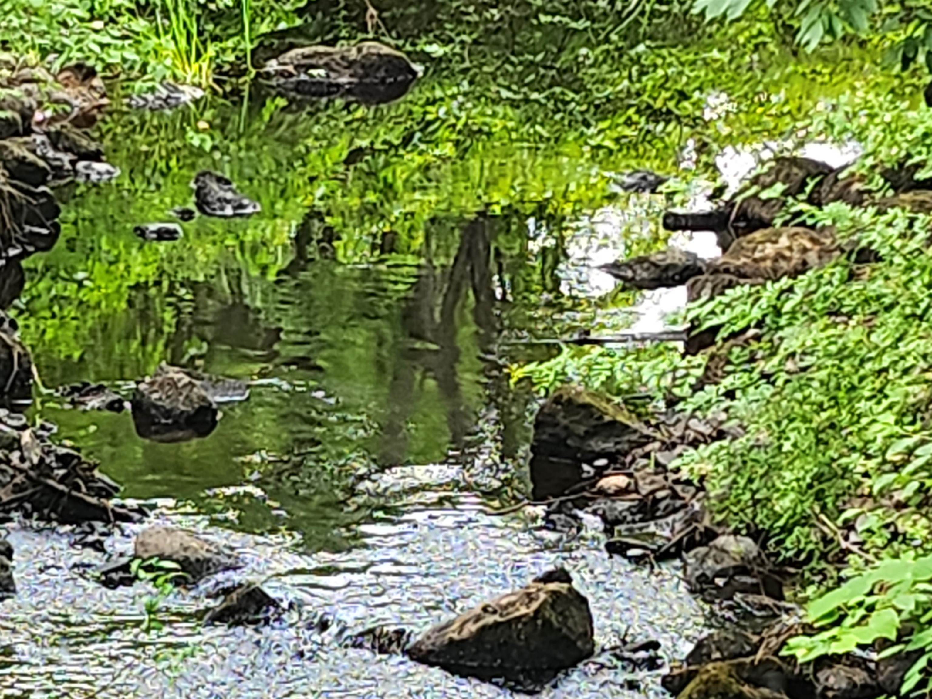 126 Meredith Center Rd, Meredith, NH 03253