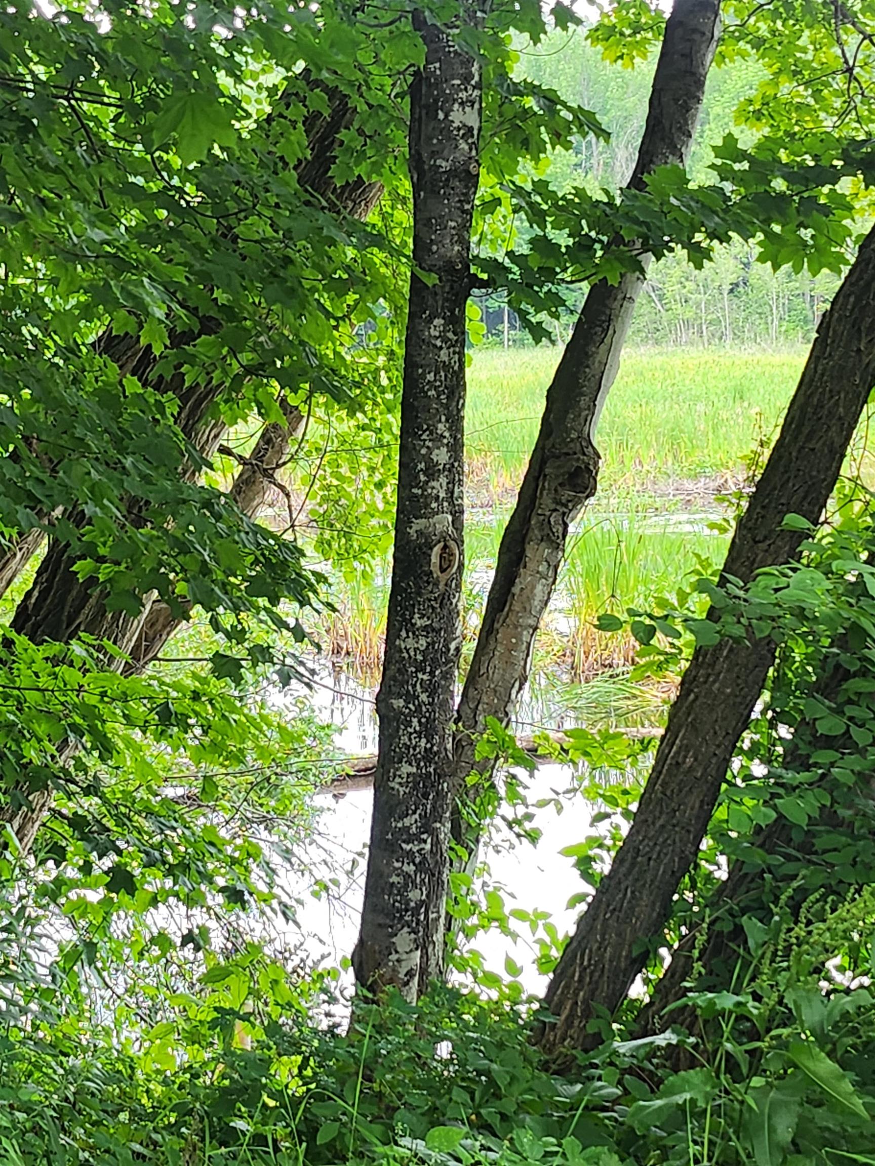 126 Meredith Center Rd, Meredith, NH 03253