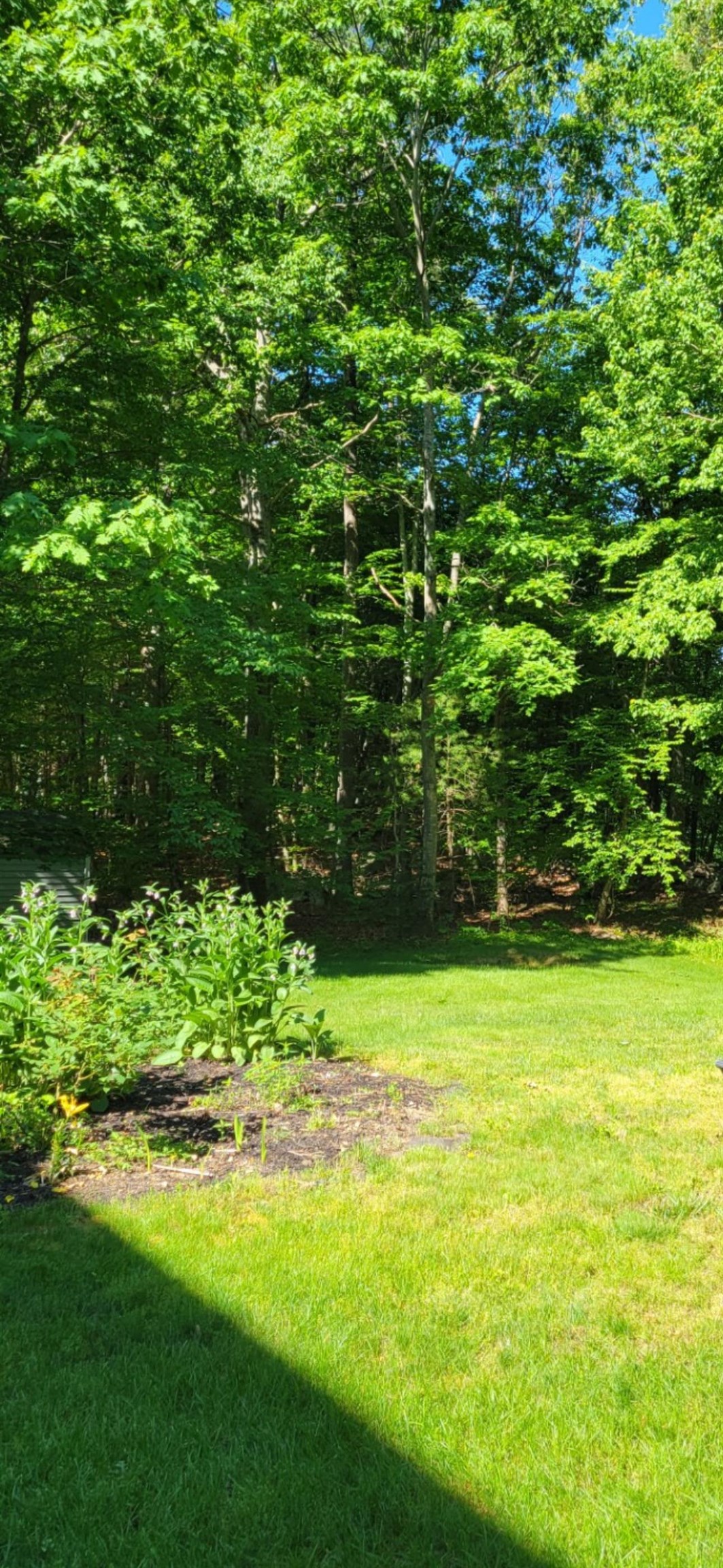 28 Peaslee Ct, Hampstead, NH 03841