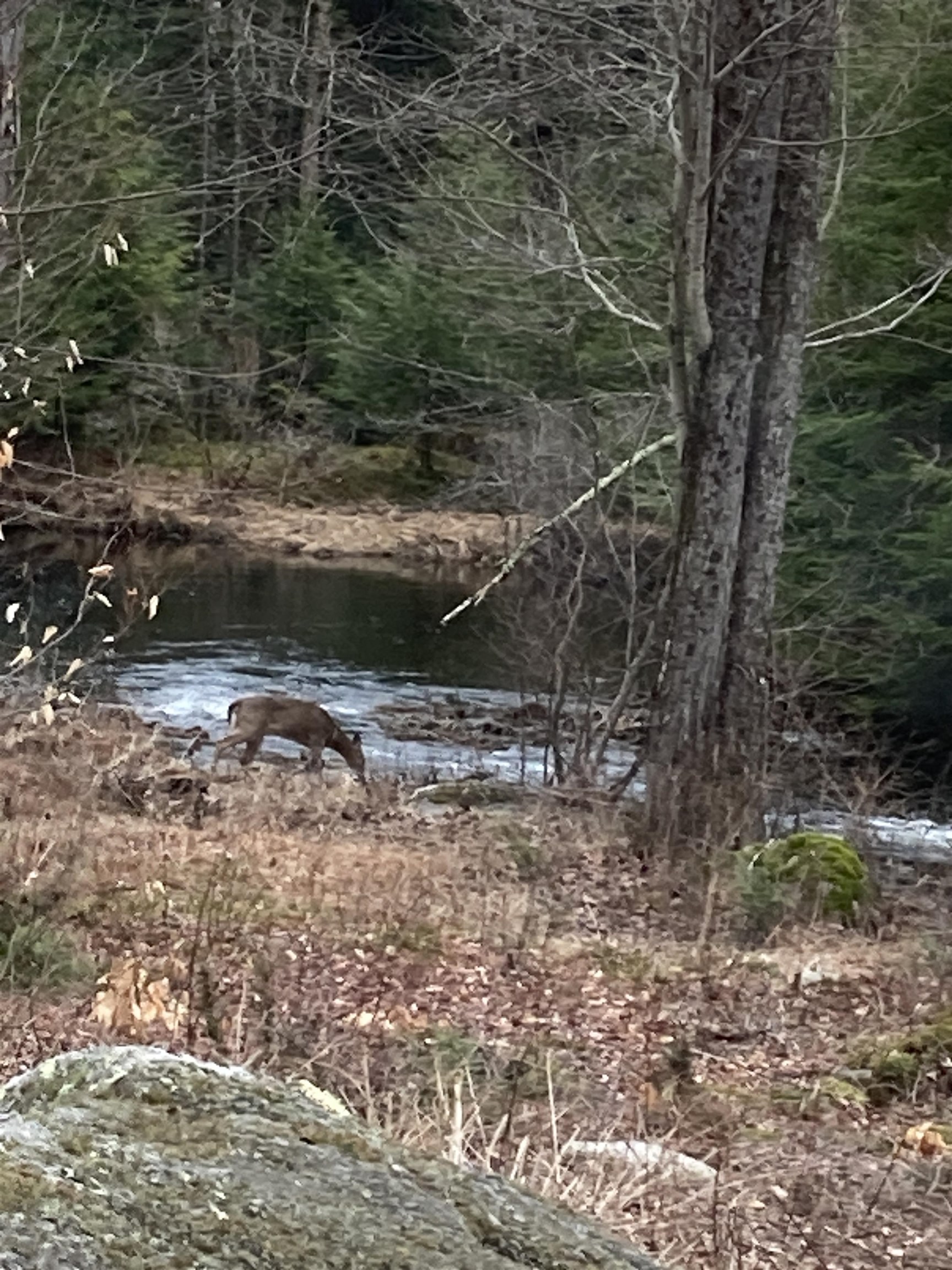 601 Lempster St, Lempster, NH 03605