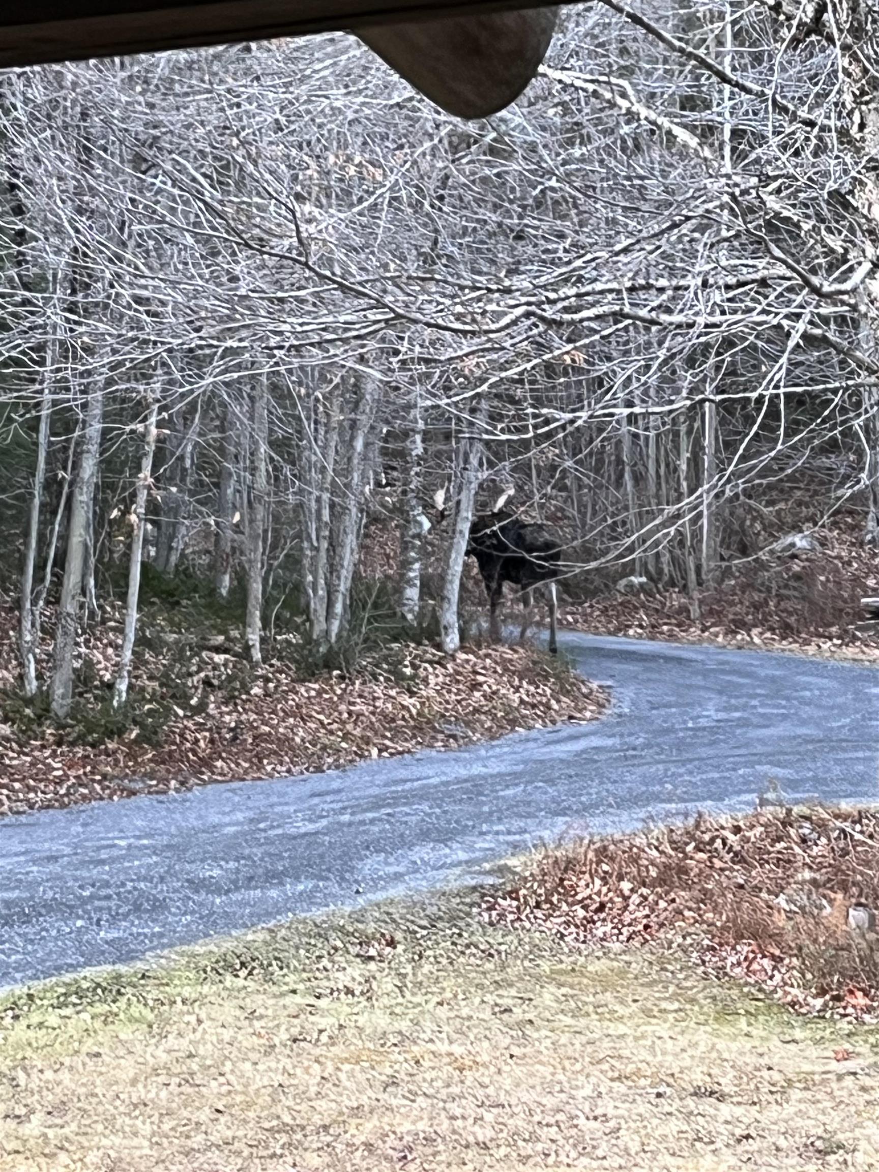 601 Lempster St, Lempster, NH 03605