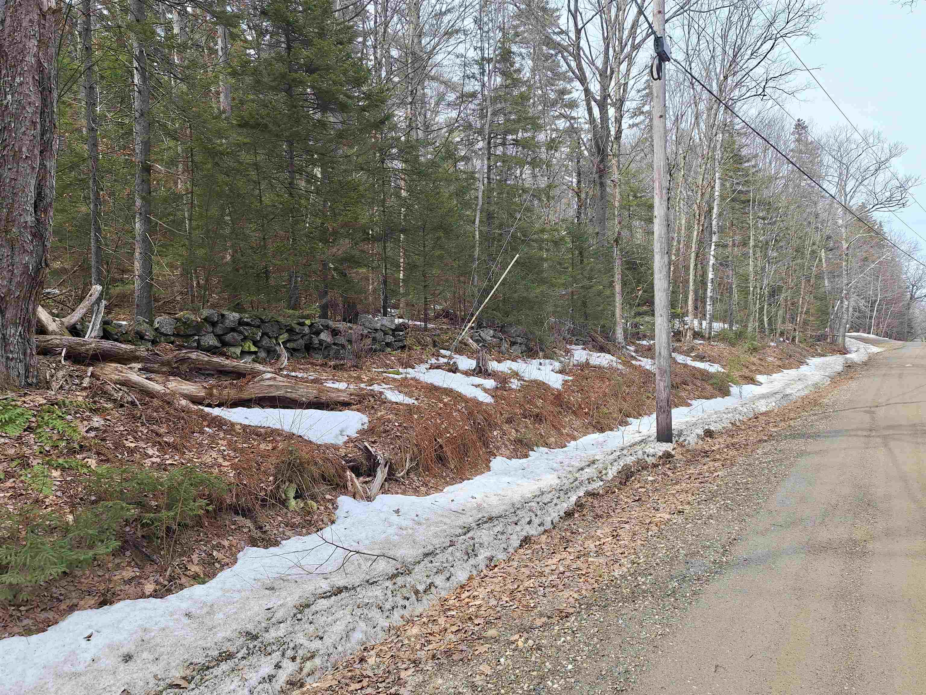 00 Rogers Rd, Alstead, NH 03602