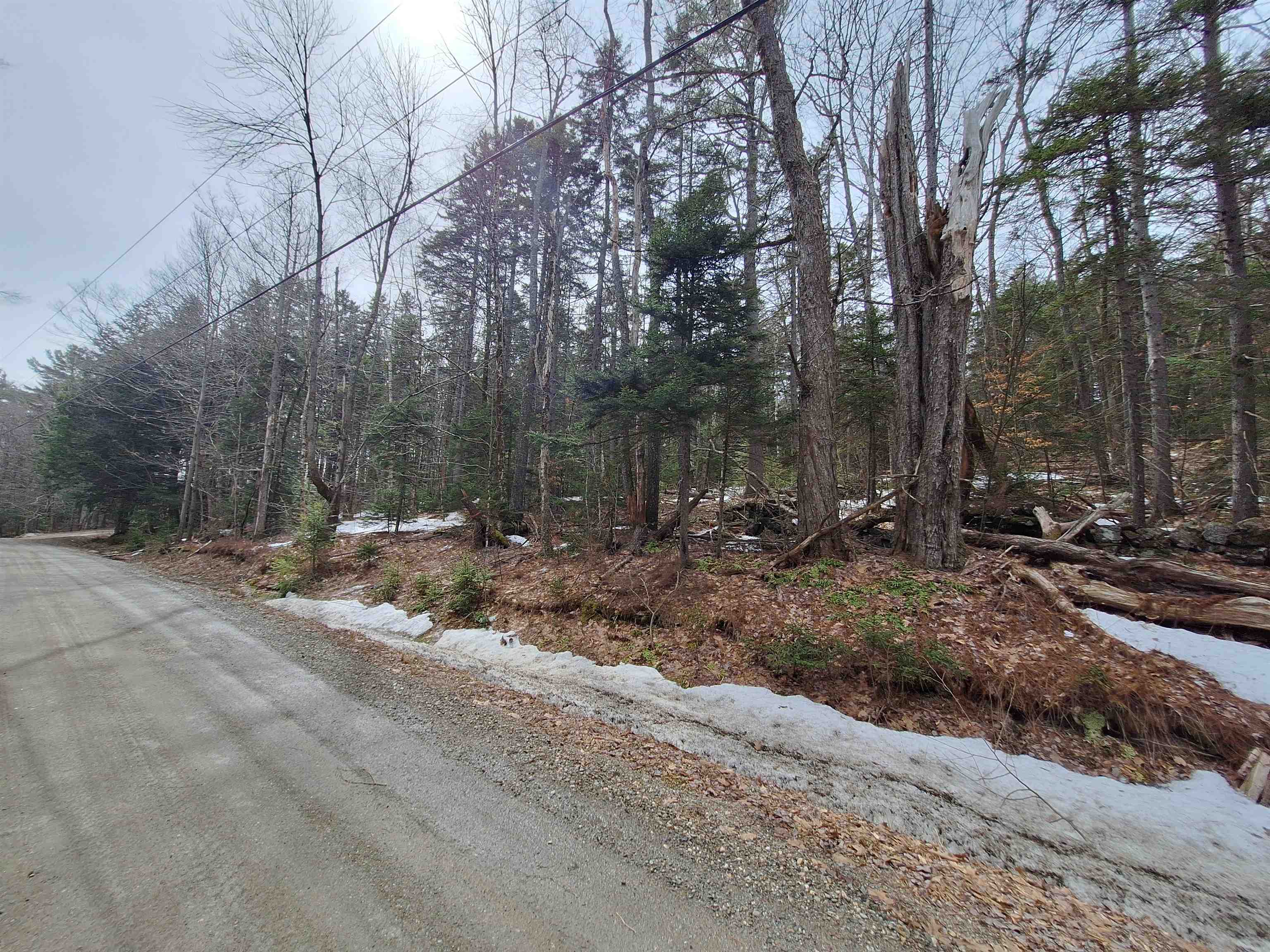 00 Rogers Rd, Alstead, NH 03602