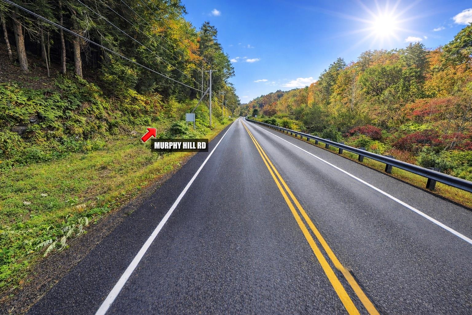 Lot 9-29 Murphy Hill Rd, Alstead, NH 03602