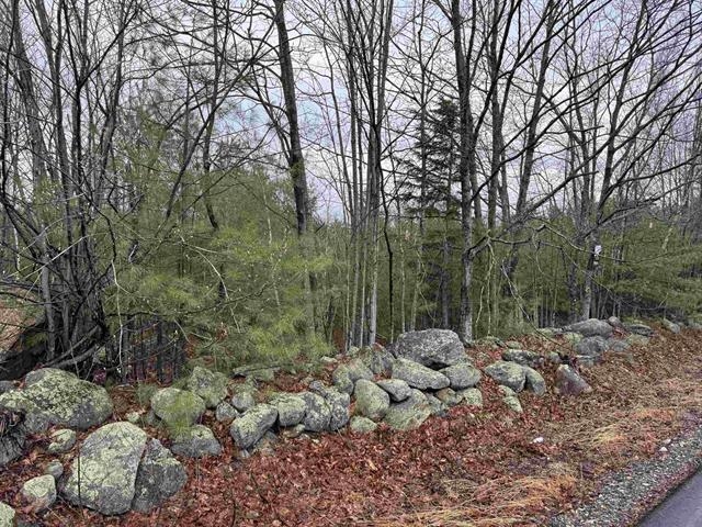 TBD Mason Rd, Milton, NH 03851