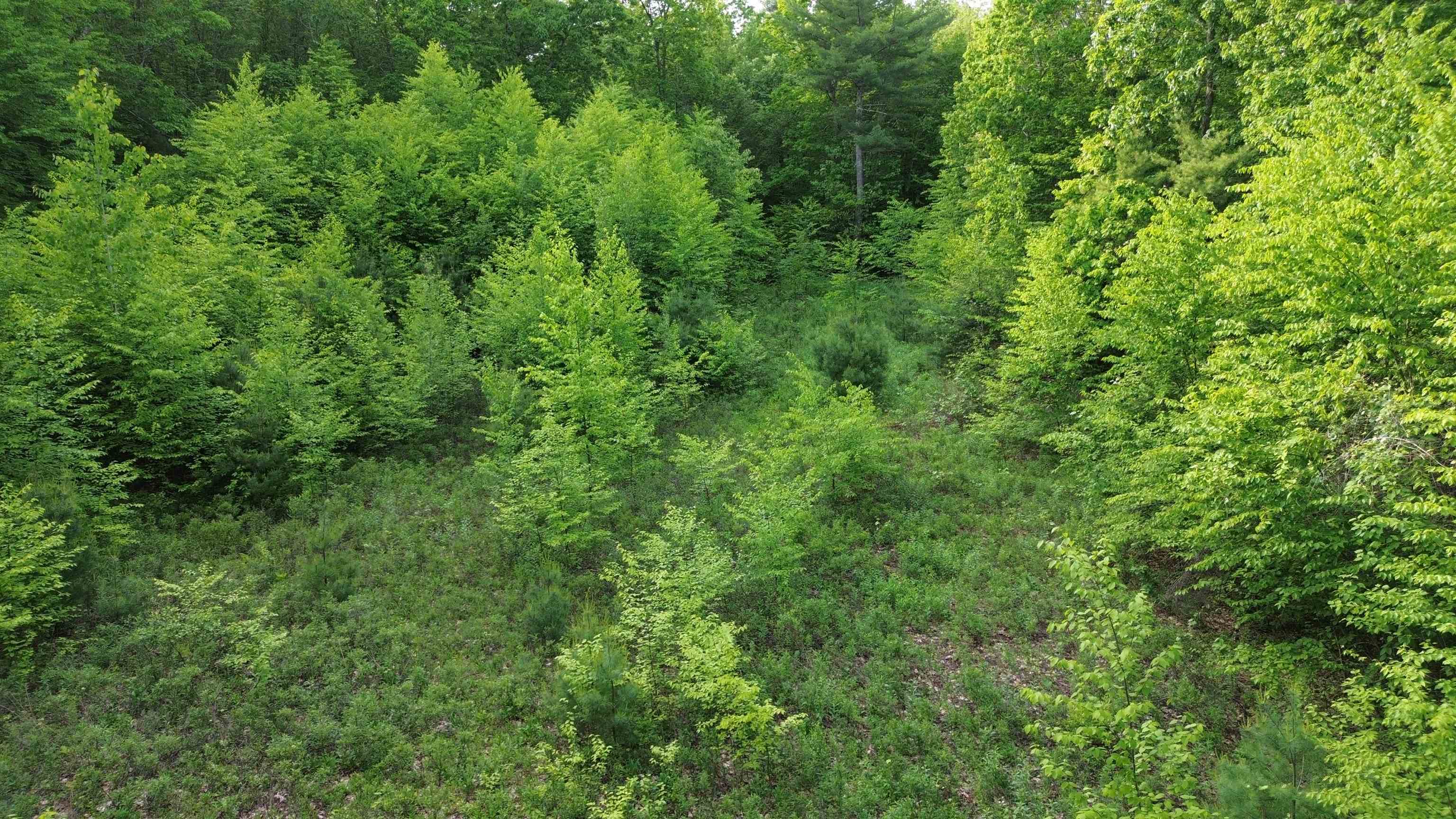 TBD Old Concord Turnpike, Barrington, NH 03825