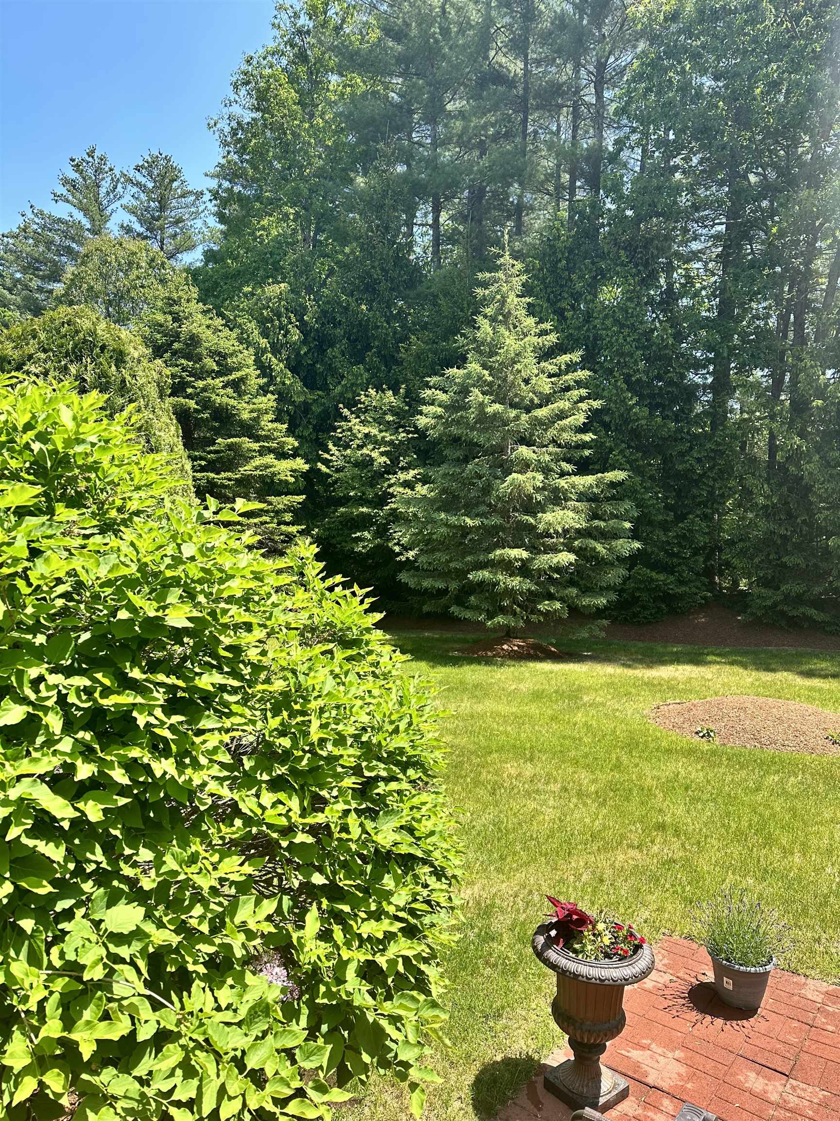 7 Mulberry Ln, Amherst, NH 03031