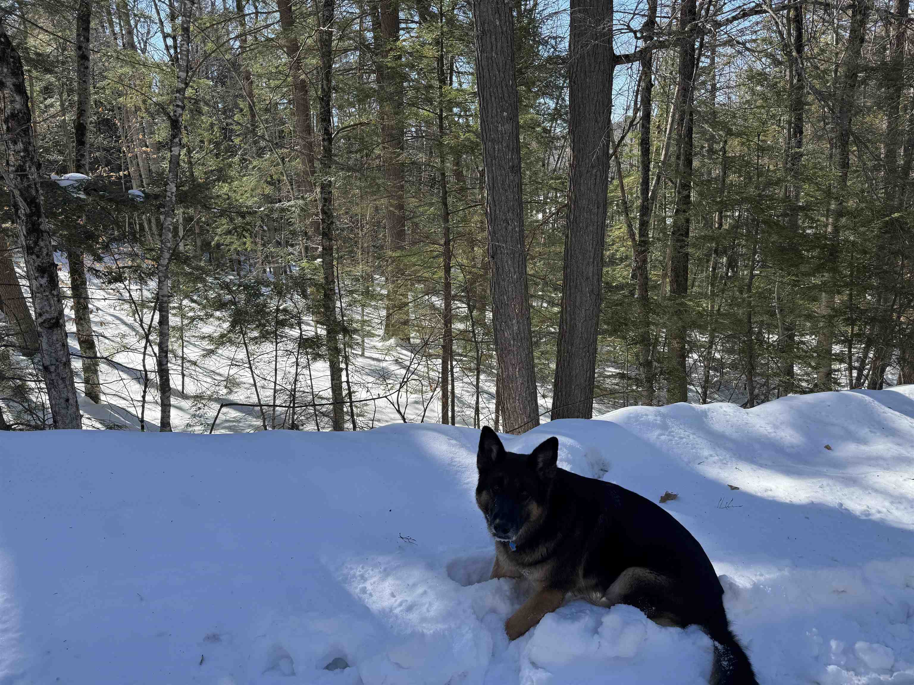 224 Valley Rd, Ossipee, NH 03814