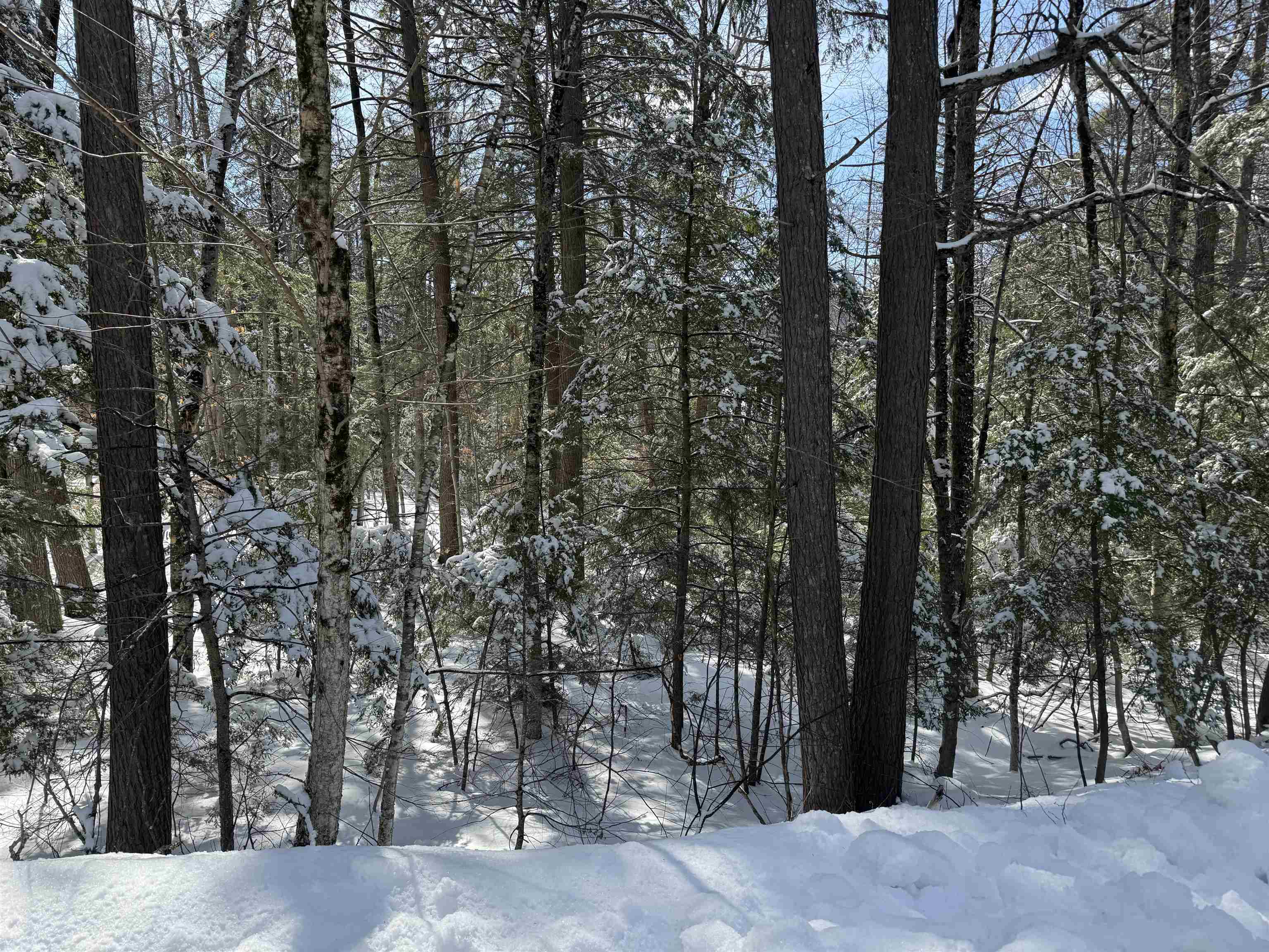 224 Valley Road — photo 2