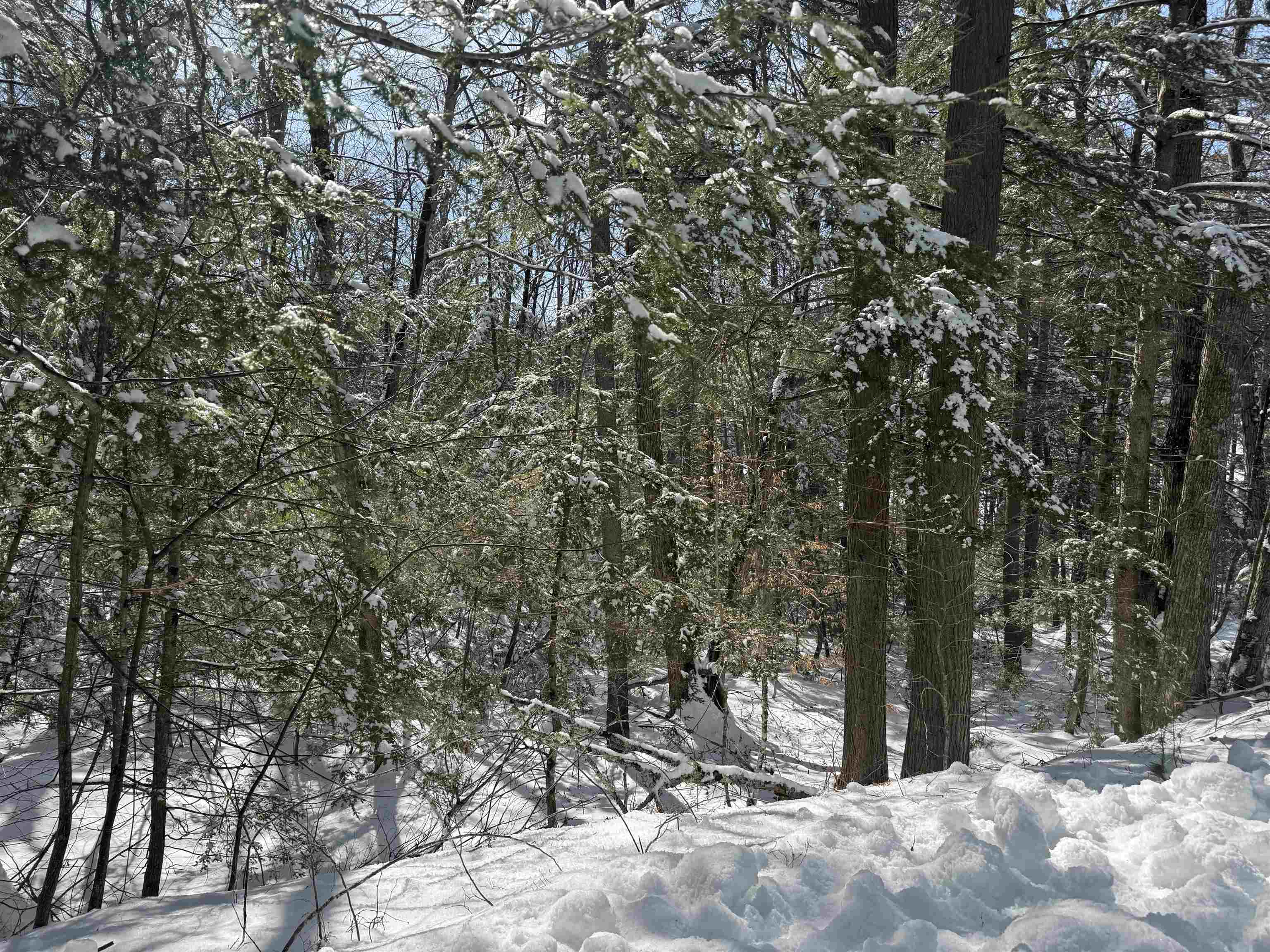 224 Valley Road — photo 3