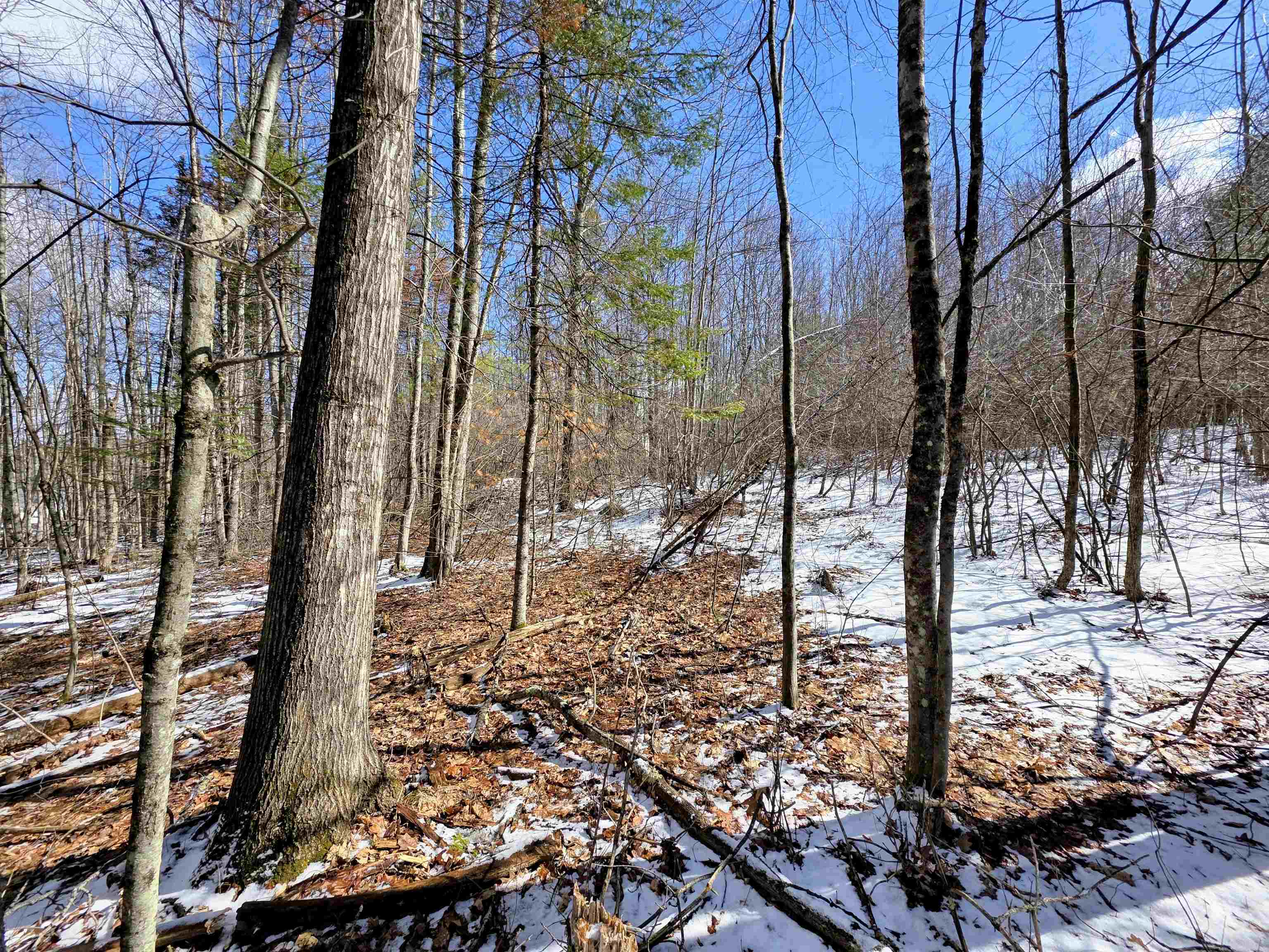 Gile Rd, Franklin, NH 03235