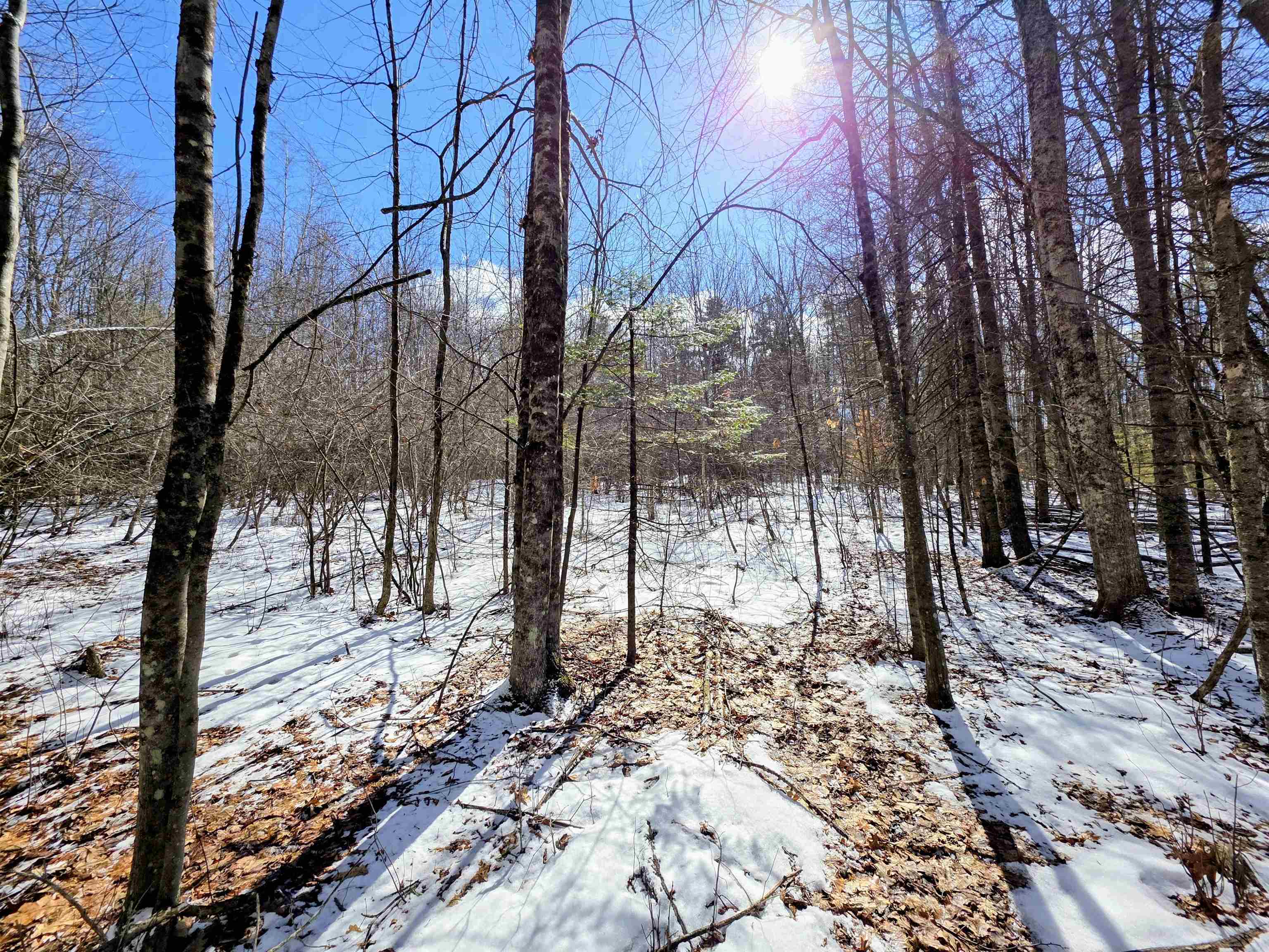 Gile Rd, Franklin, NH 03235