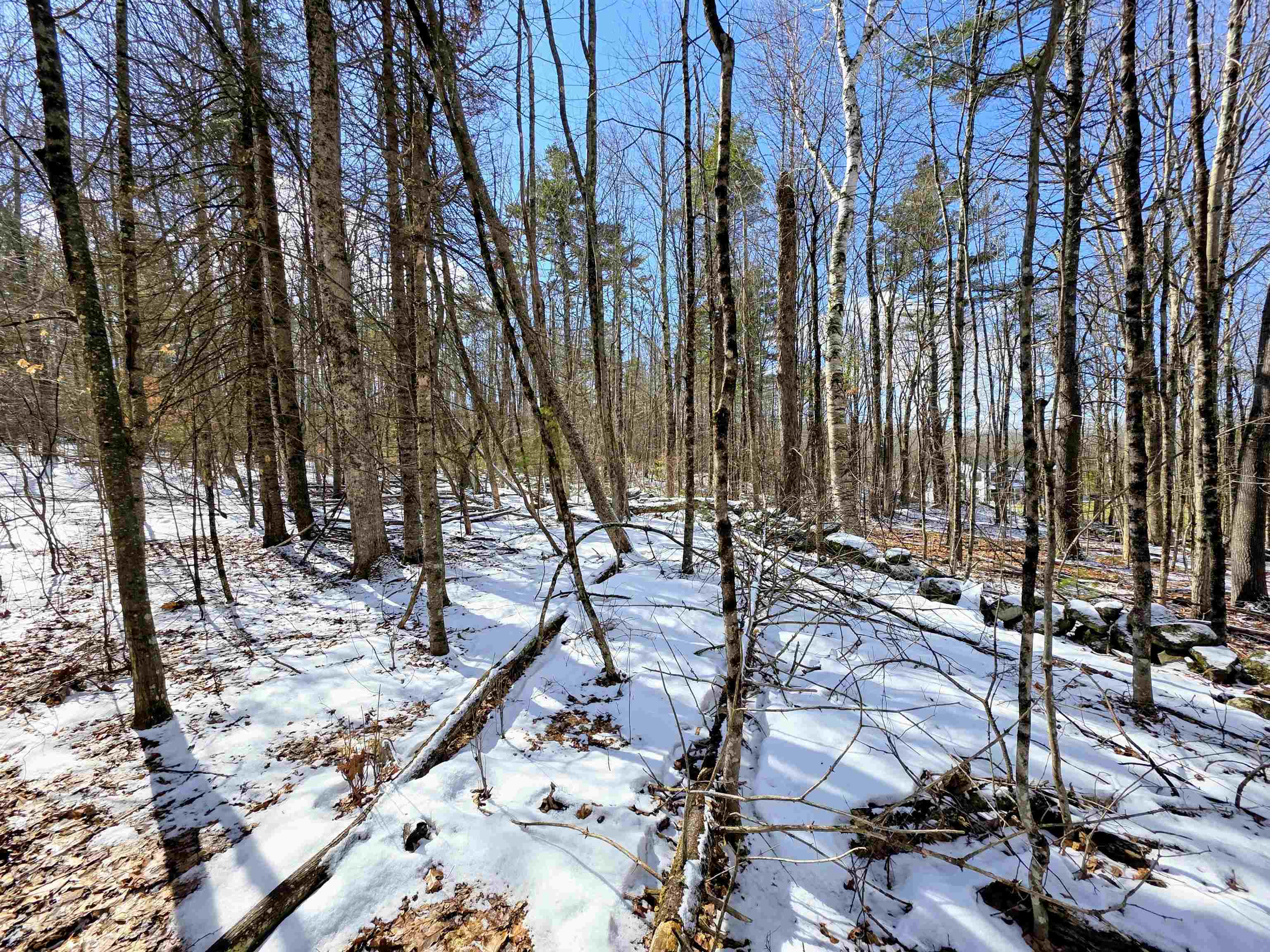 0 Gile Rd, Franklin, NH 03235