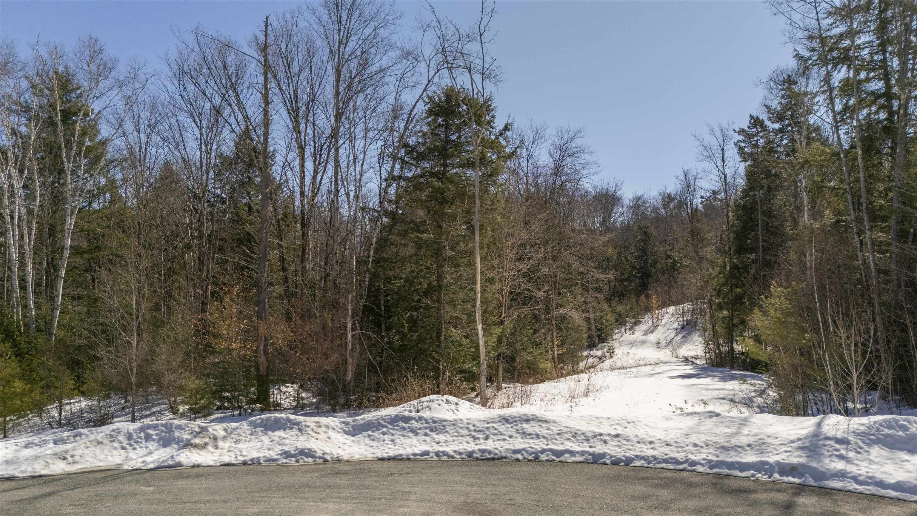 17 Hummock Ln, Grantham, NH 03753