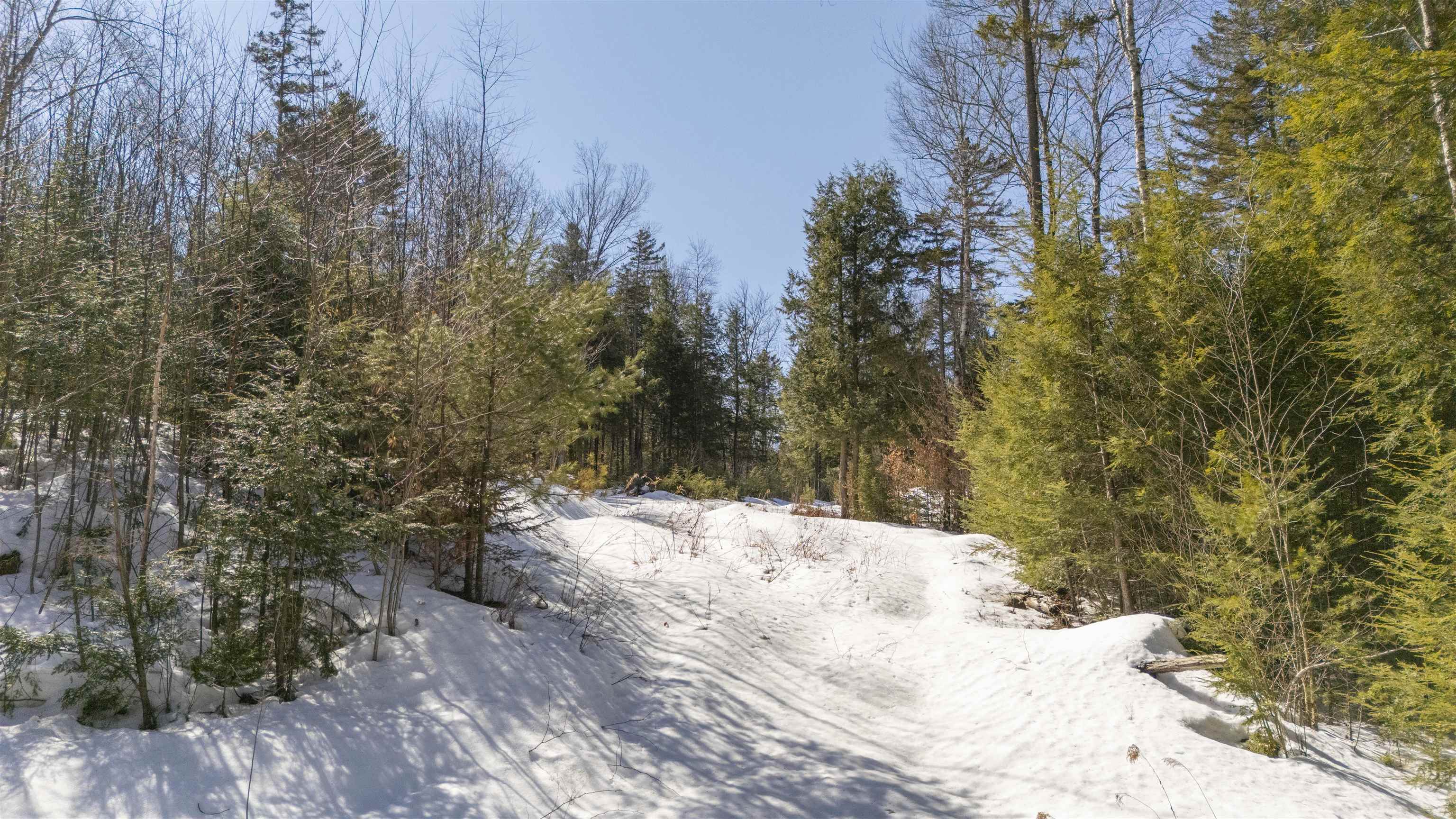 17 Hummock Ln, Grantham, NH 03753