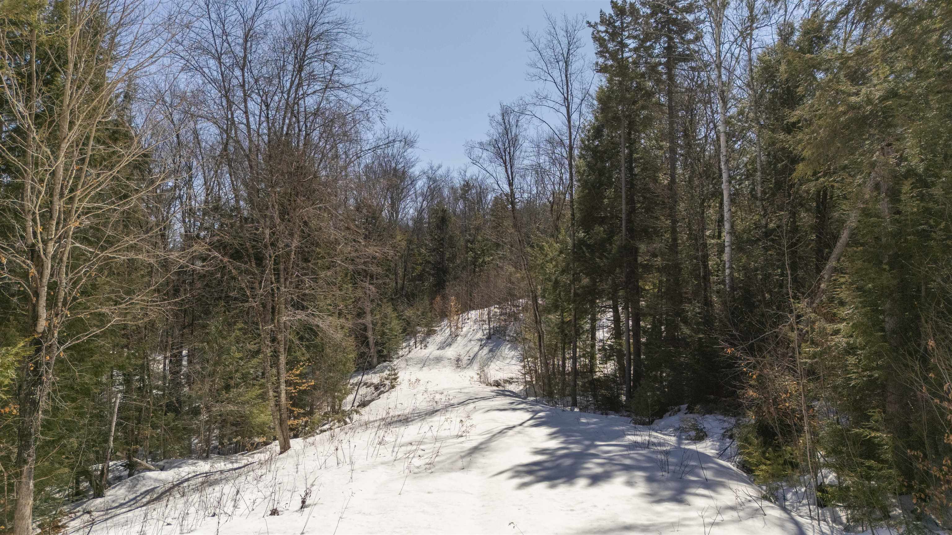 17 Hummock Ln, Grantham, NH 03753