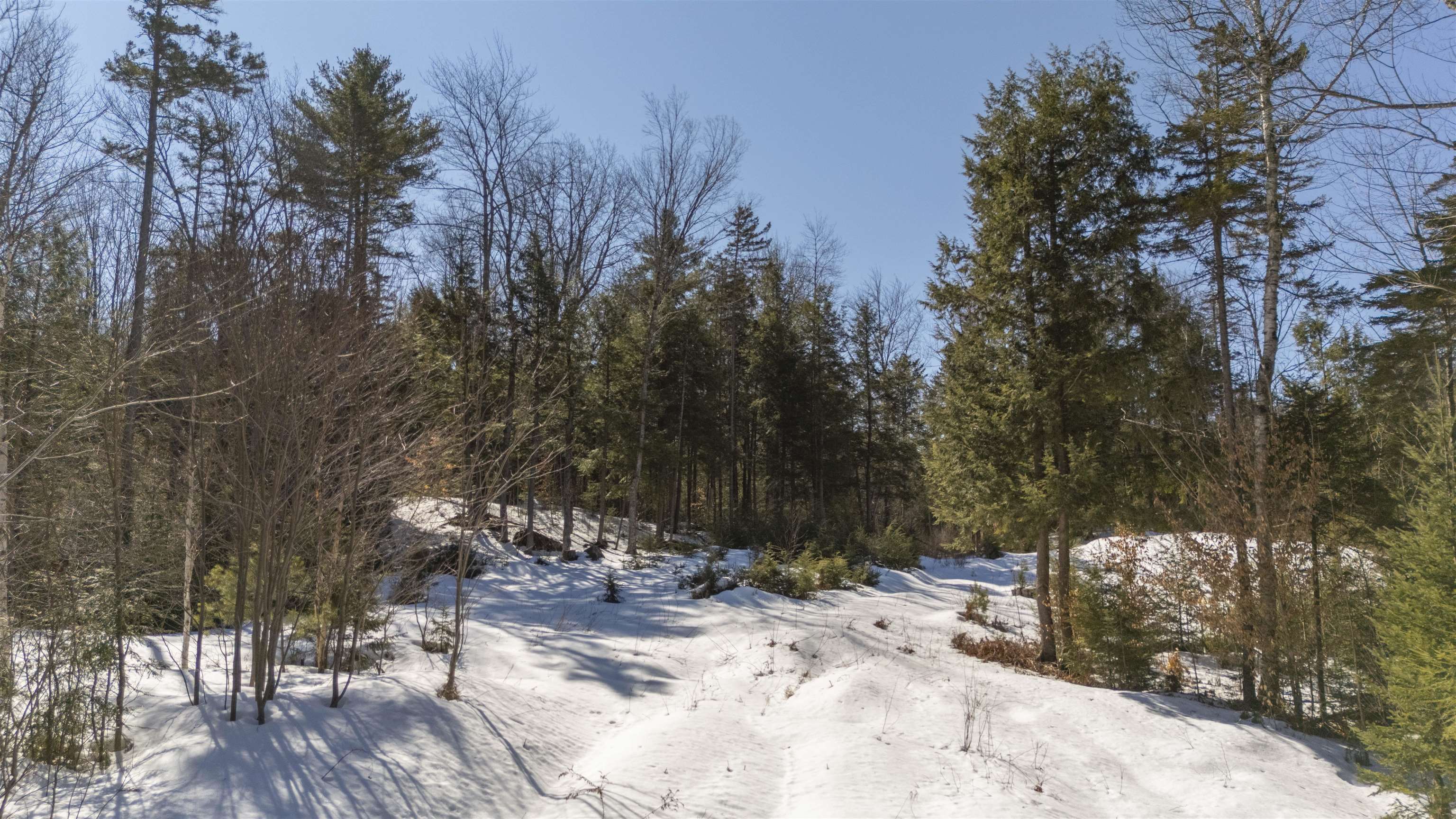 17 Hummock Ln, Grantham, NH 03753