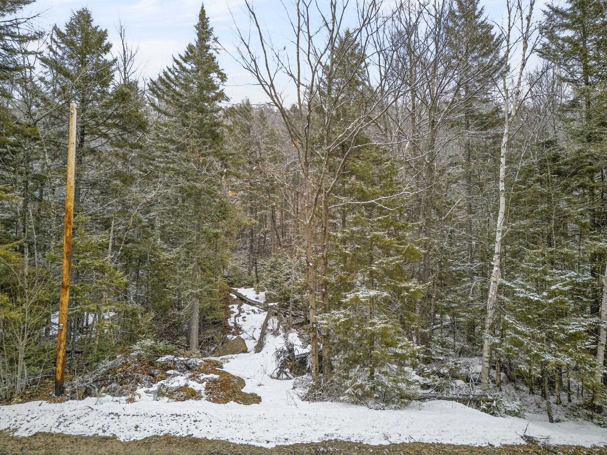 M10 L50 Ashuelot Dr, Washington, NH 03280