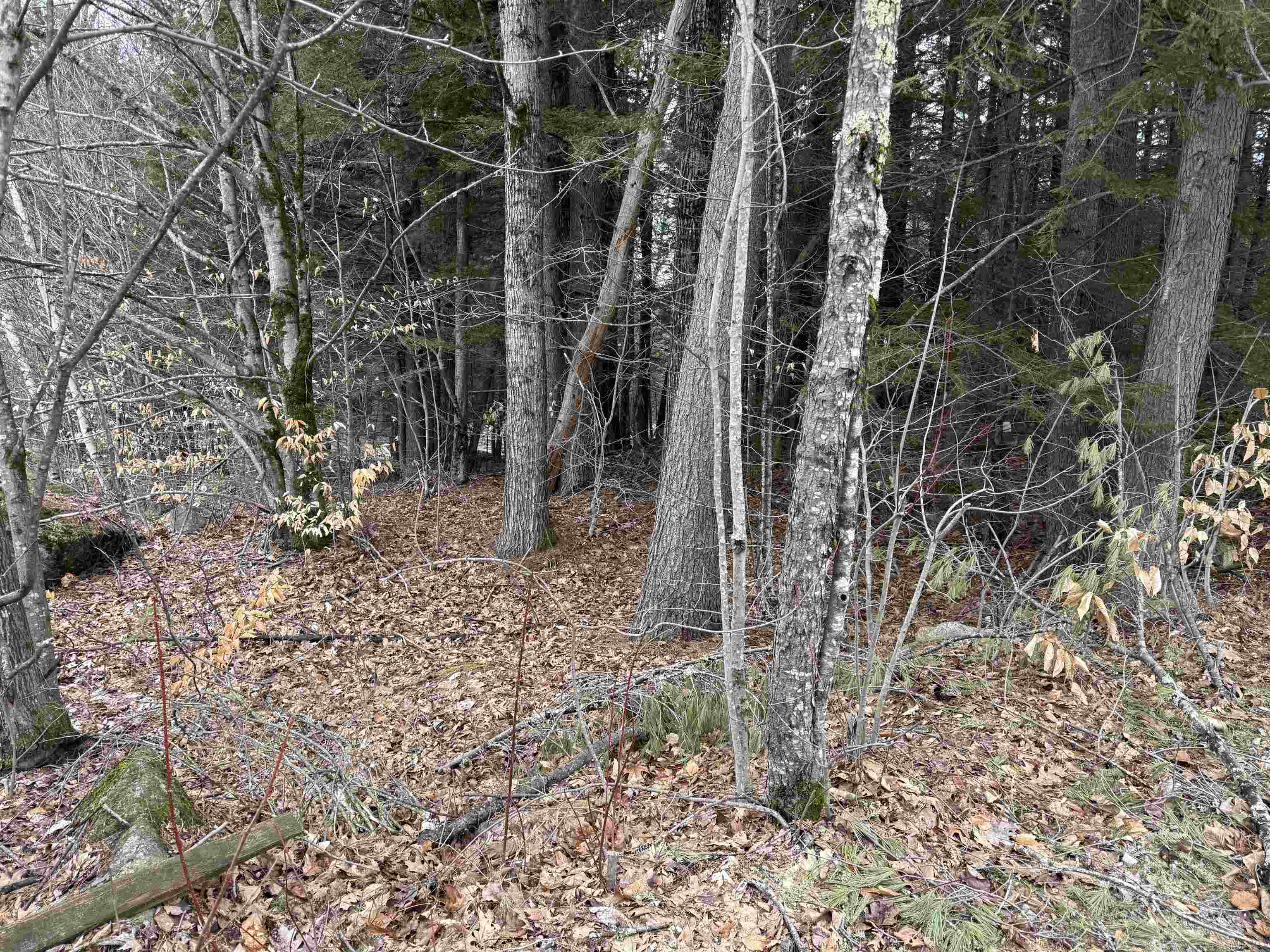 14-077 Deerpoint Dr, Hillsborough, NH 03244