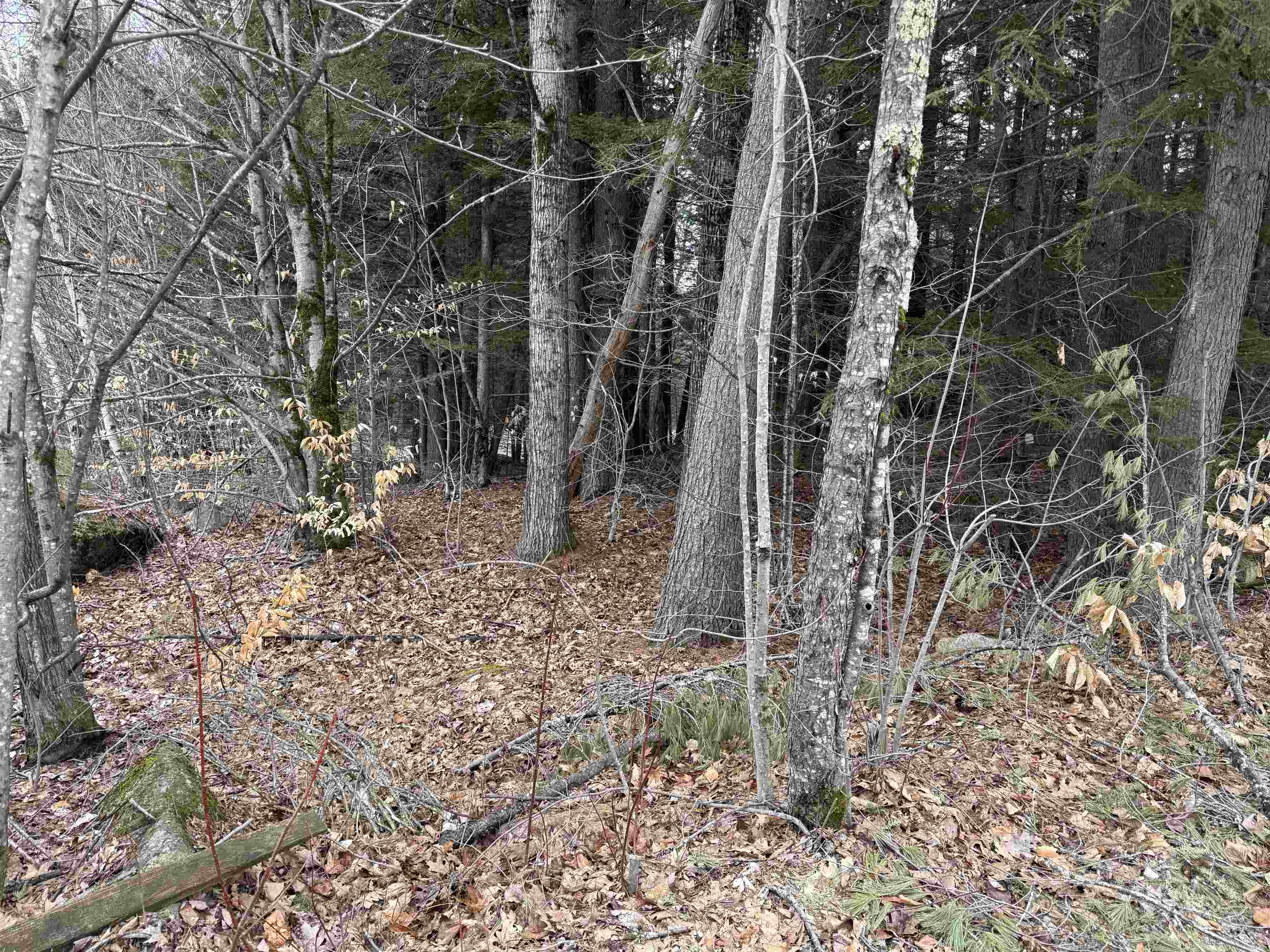 14-077 Deerpoint Dr, Hillsborough, NH 03244