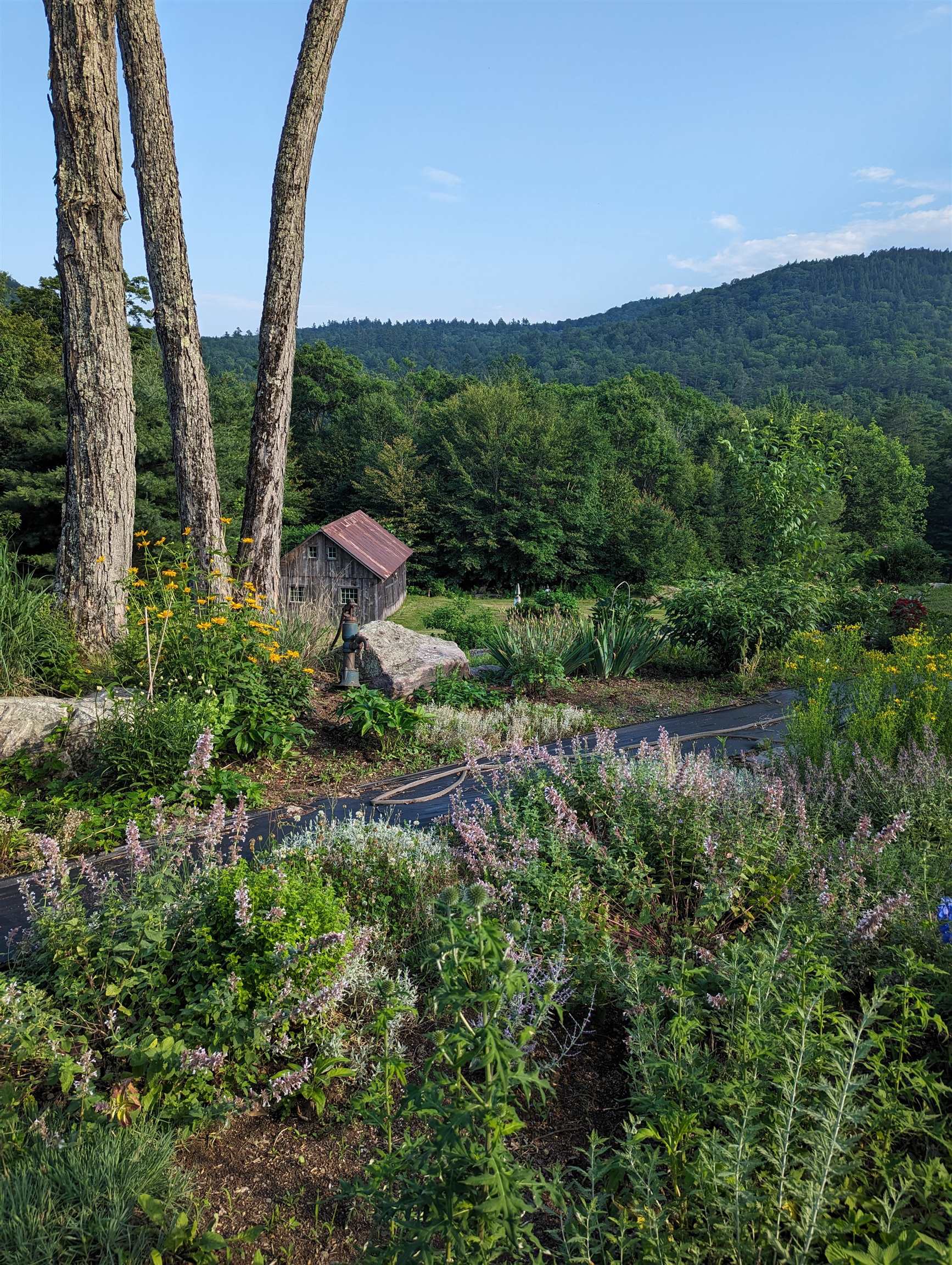 177 Rte 121 E, Grafton, VT 05146