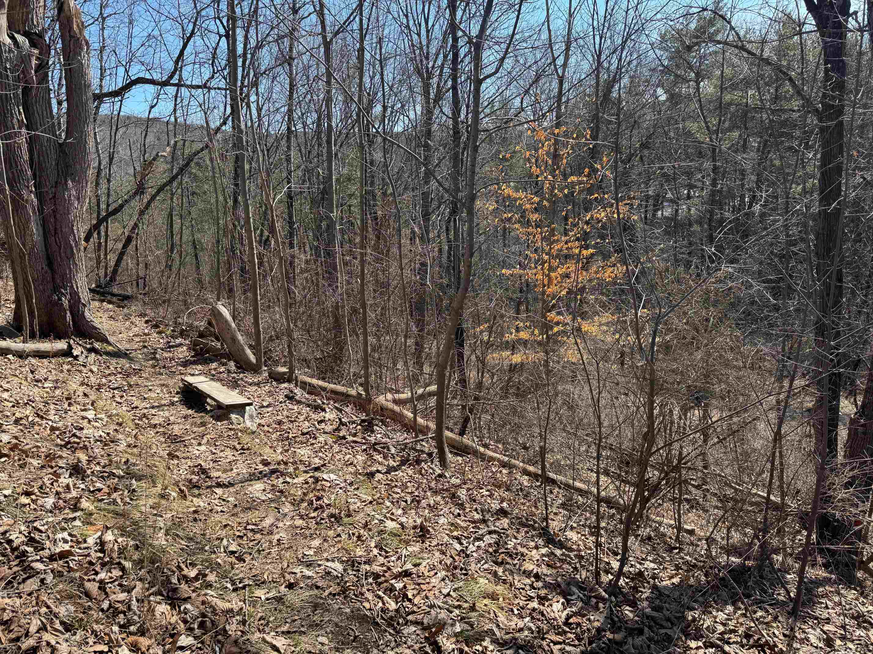 52 Farr Rd, Lebanon, NH 03766