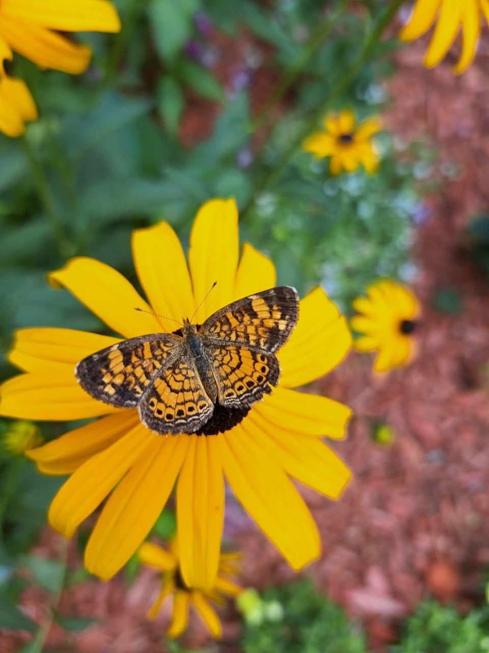 15 Edgewood Dr, Hopkinton, NH 03229