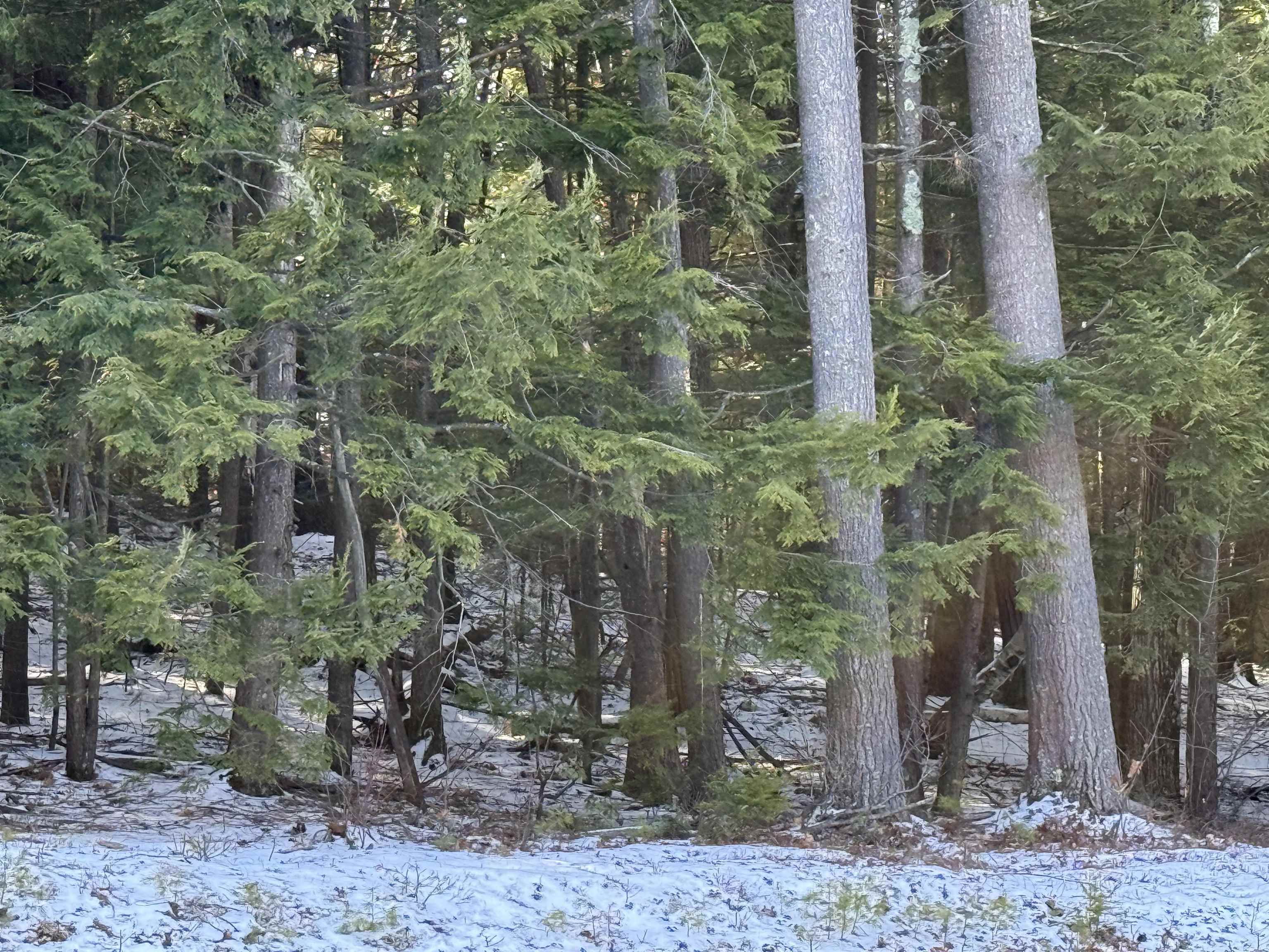 1 Shady Ln, New Hampton, NH 03256