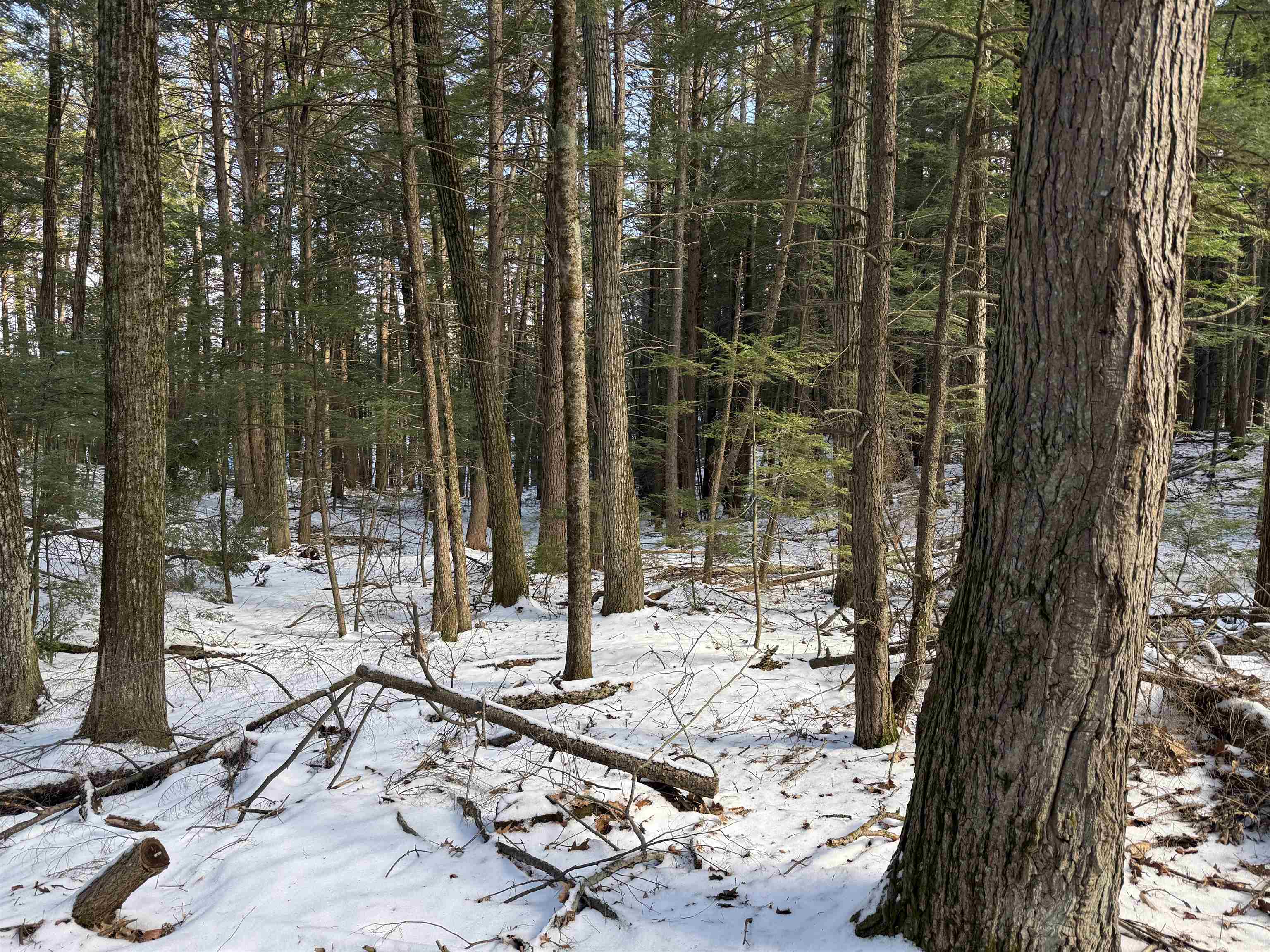 1 Shady Ln, New Hampton, NH 03256