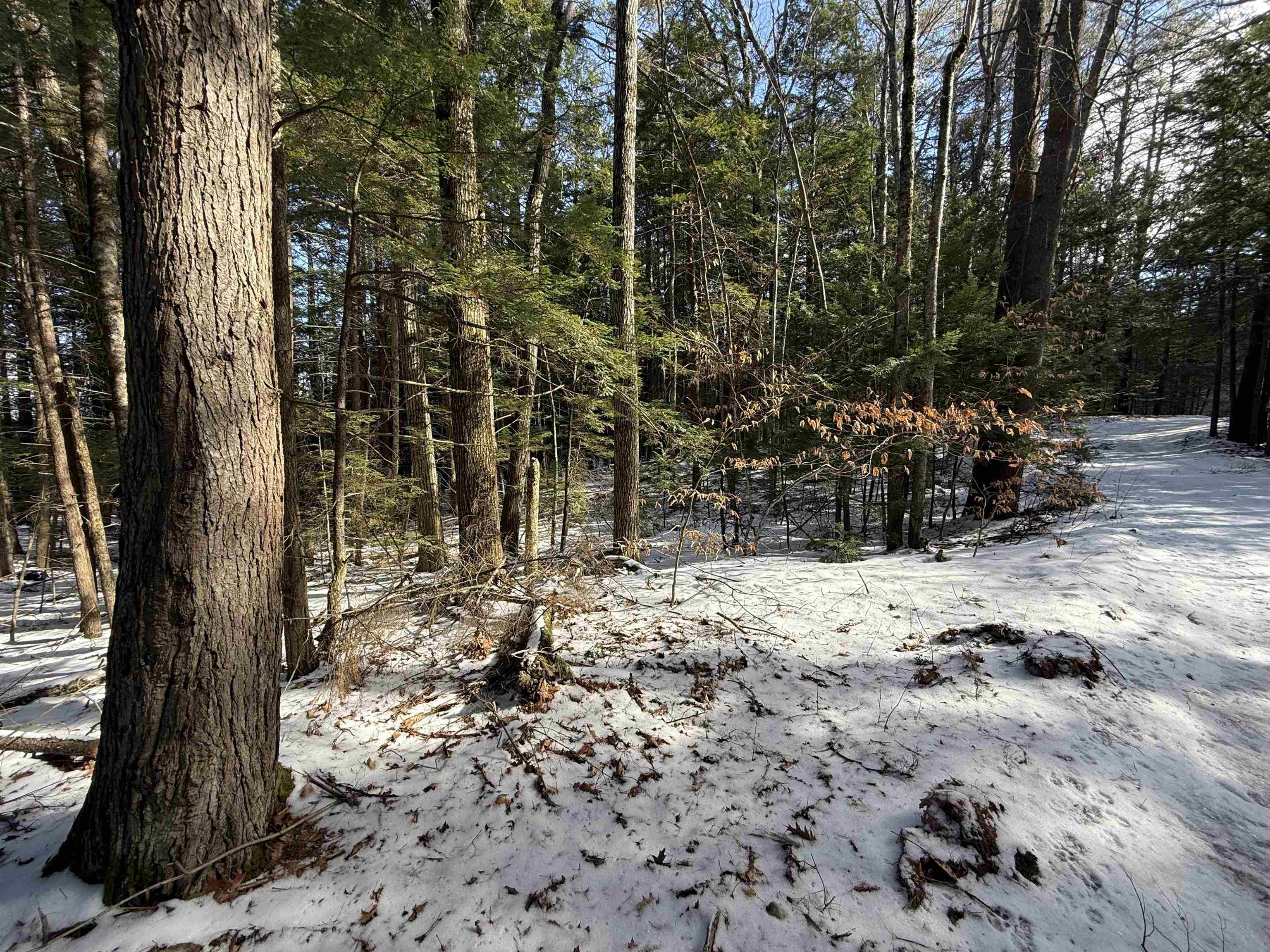 1 Shady Ln, New Hampton, NH 03256