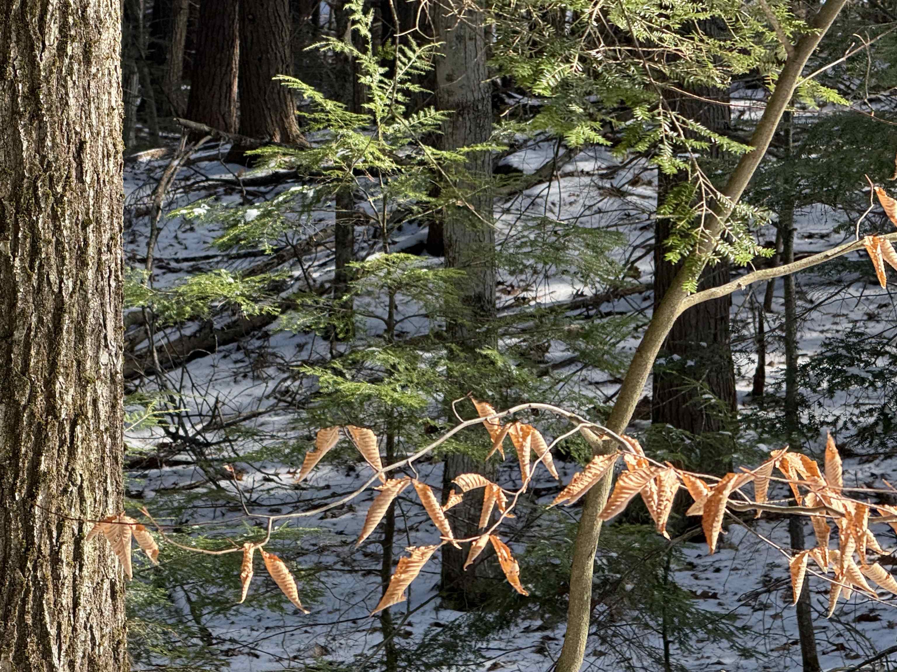 1 Shady Ln, New Hampton, NH 03256