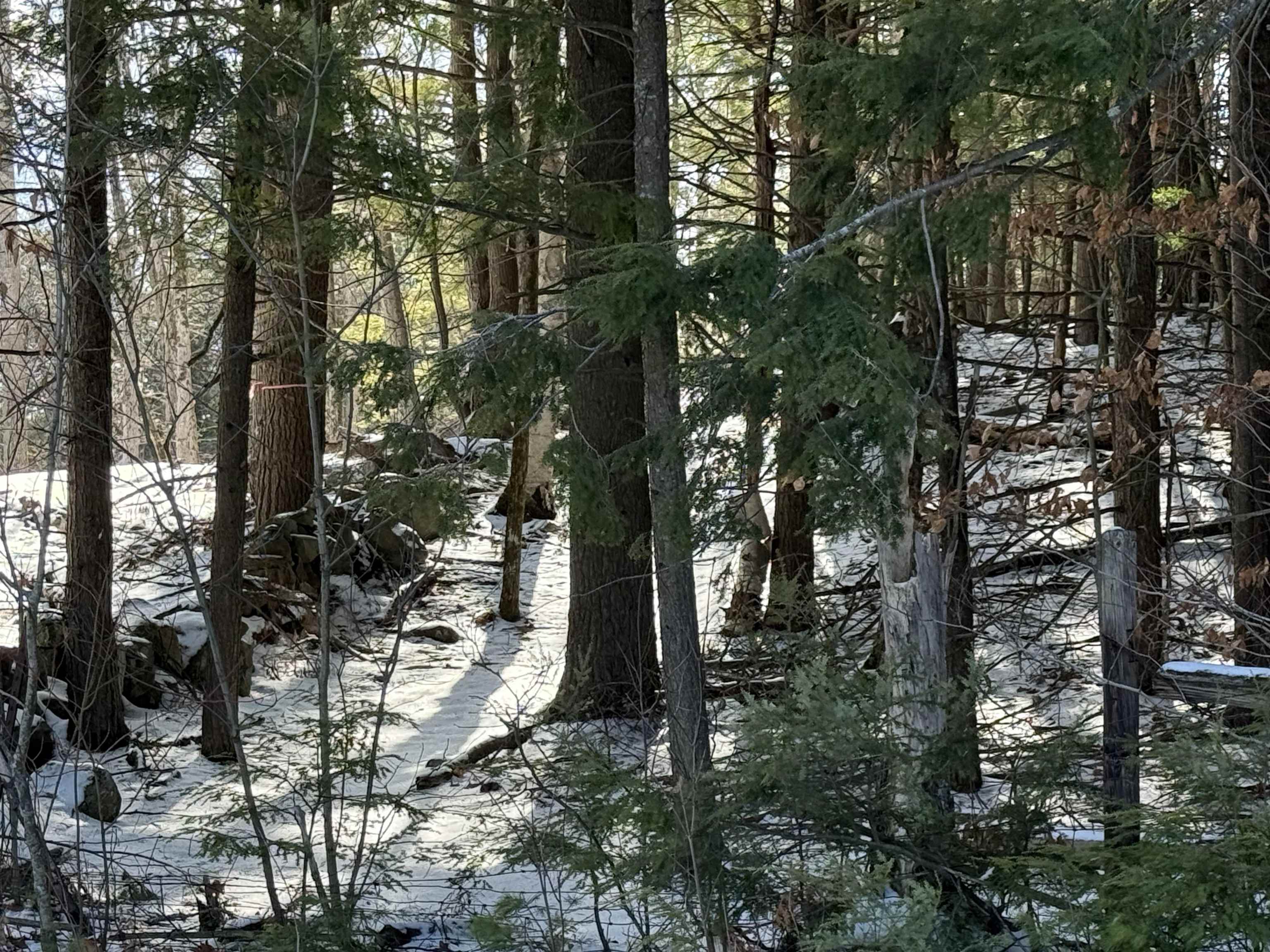 1 Shady Ln, New Hampton, NH 03256