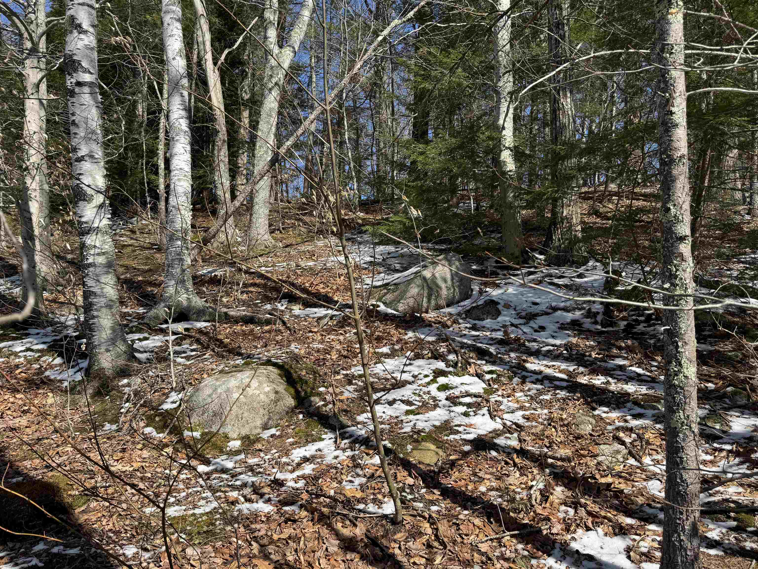 Lot 185 Nutter Dr, Alton, NH 03809