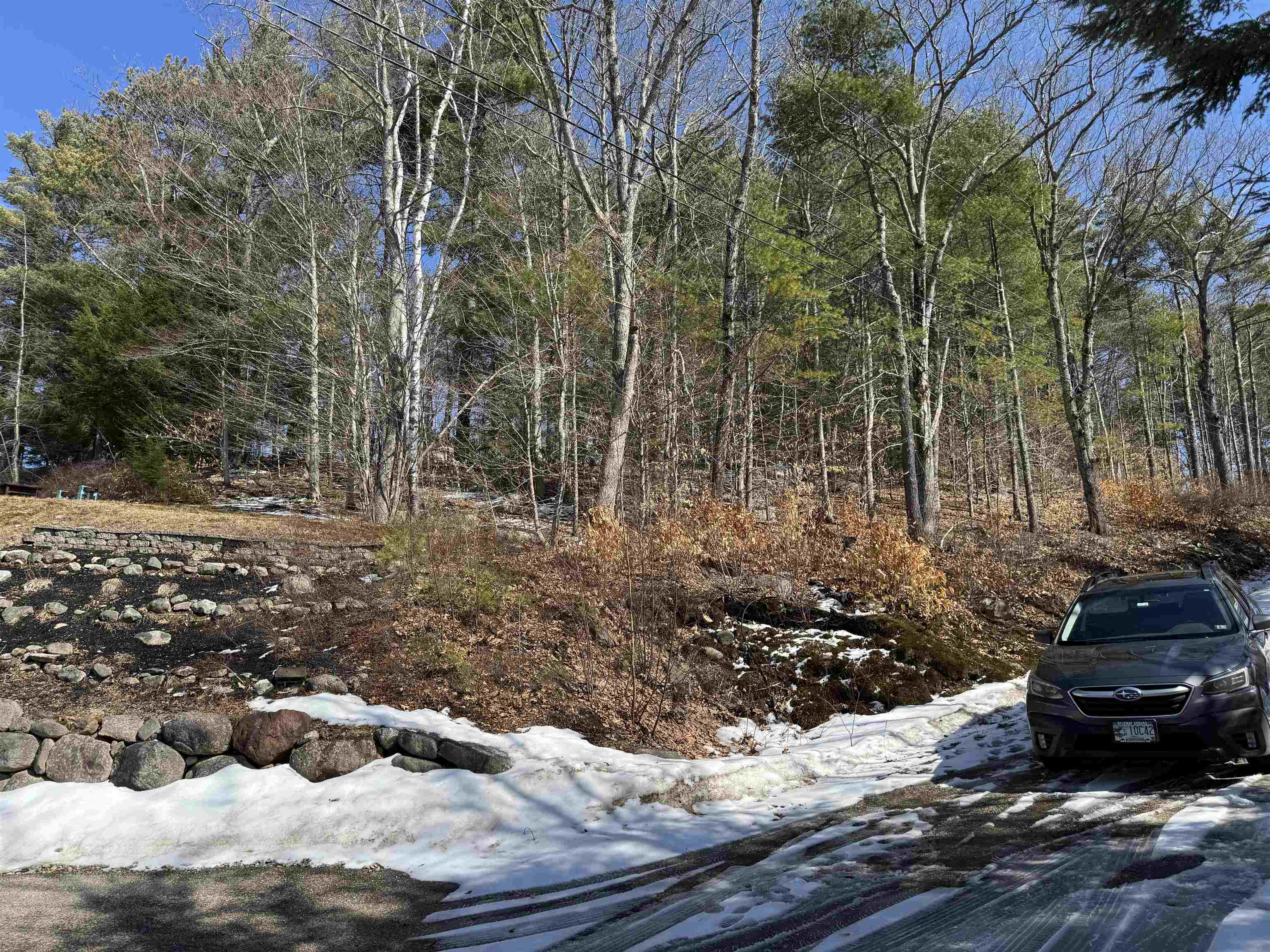 Lot 185 Nutter Dr, Alton, NH 03809