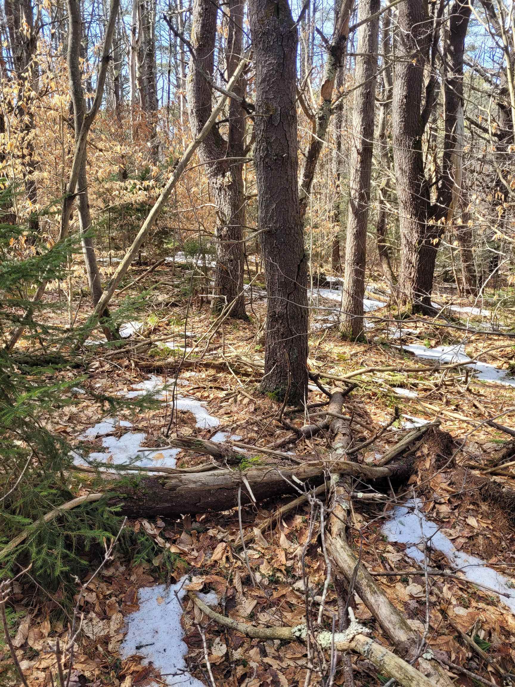 00 Rt 9 Hw, Sullivan, NH 03445