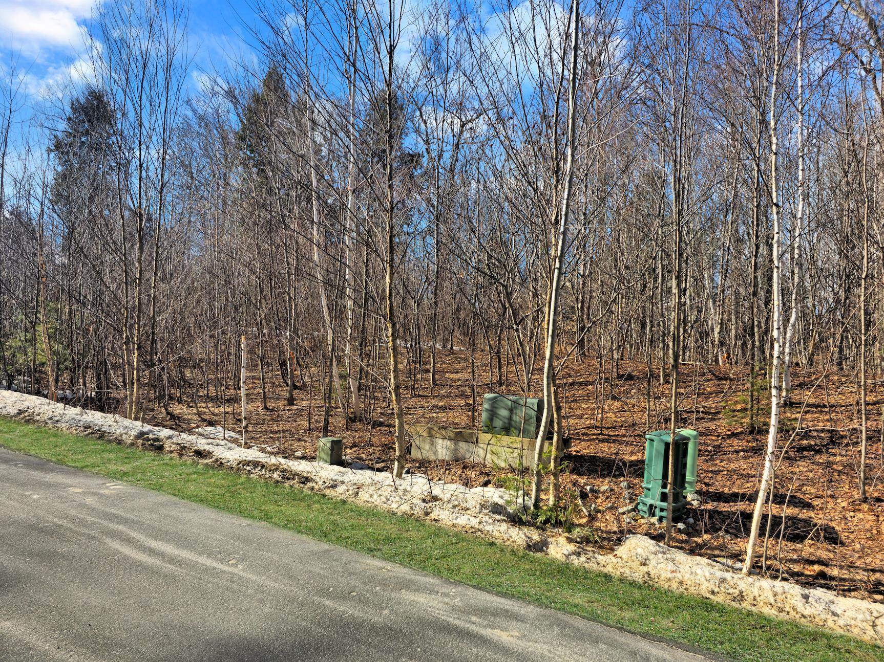 25 Ski Lift Ln, Plymouth, NH 03264