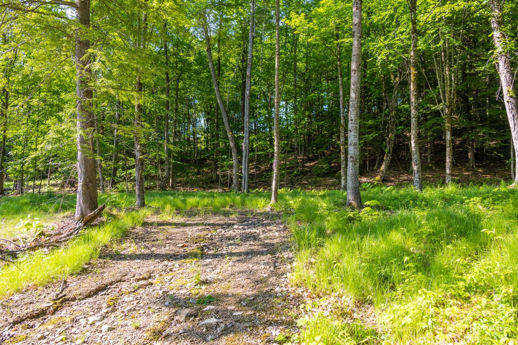Lot 11 Greenwood Ln, Sunapee, NH 03782