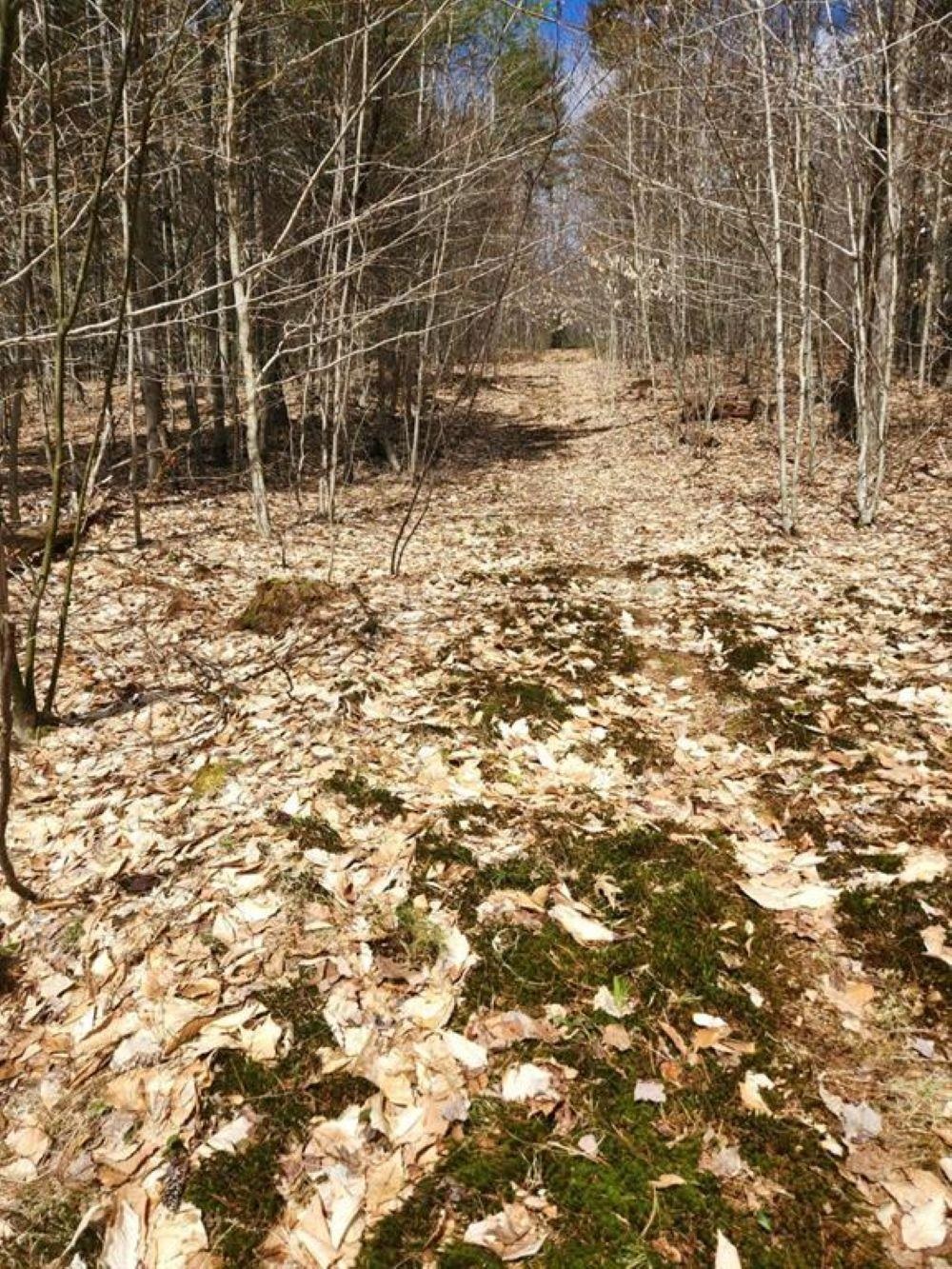 TBD Fox Dr, Gilmanton, NH 03237