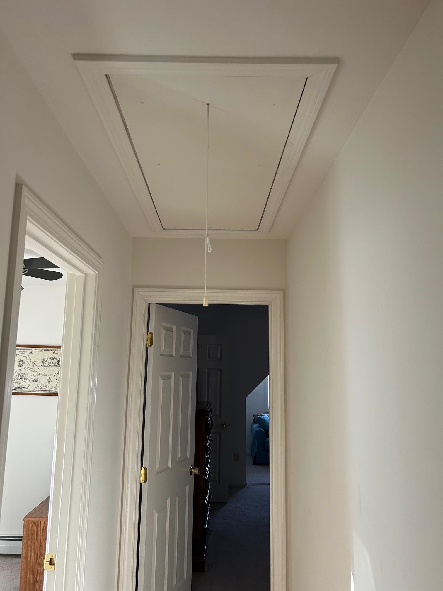 Pull-down Ladder