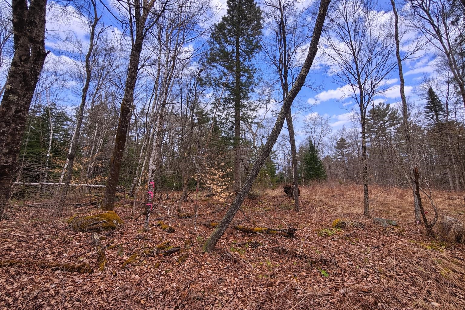 354 Lakeside Dr, Haverhill, NH 03785