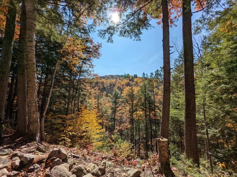 108 Tyler Way, Bath, NH 03740