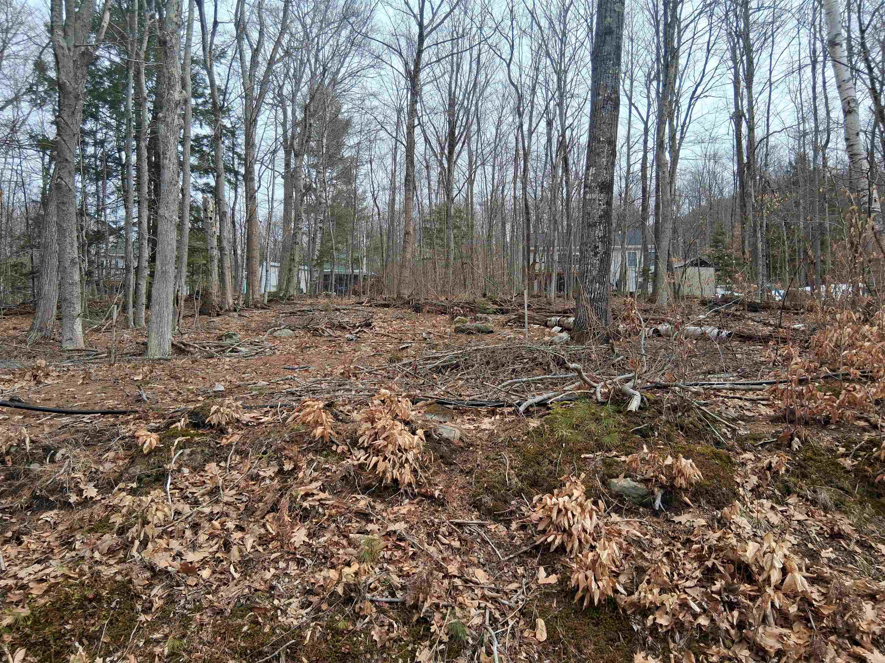 Lot 60 Scott Drive — photo 2