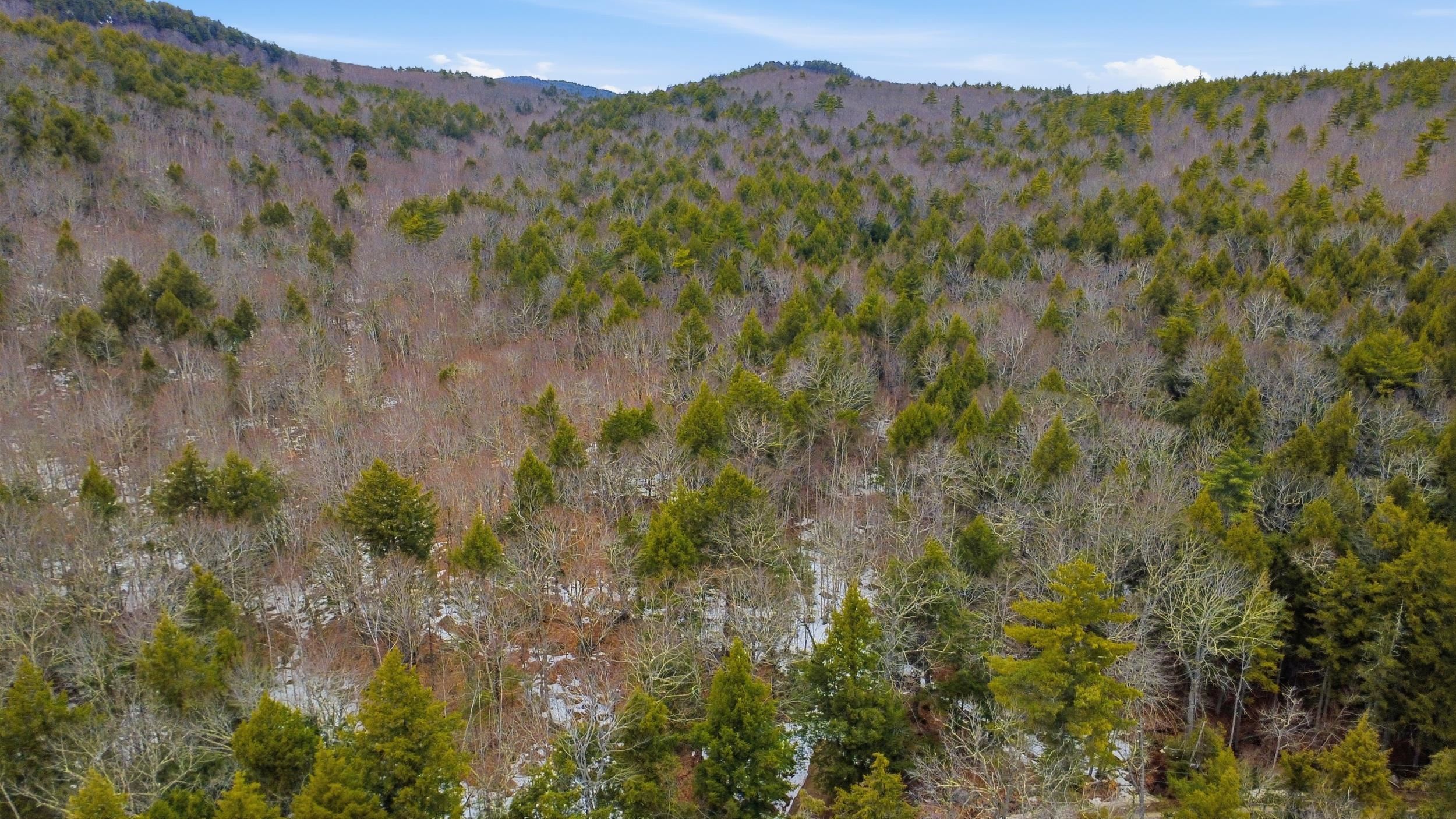 101-15-1 North Shore Rd, New Durham, NH 03855