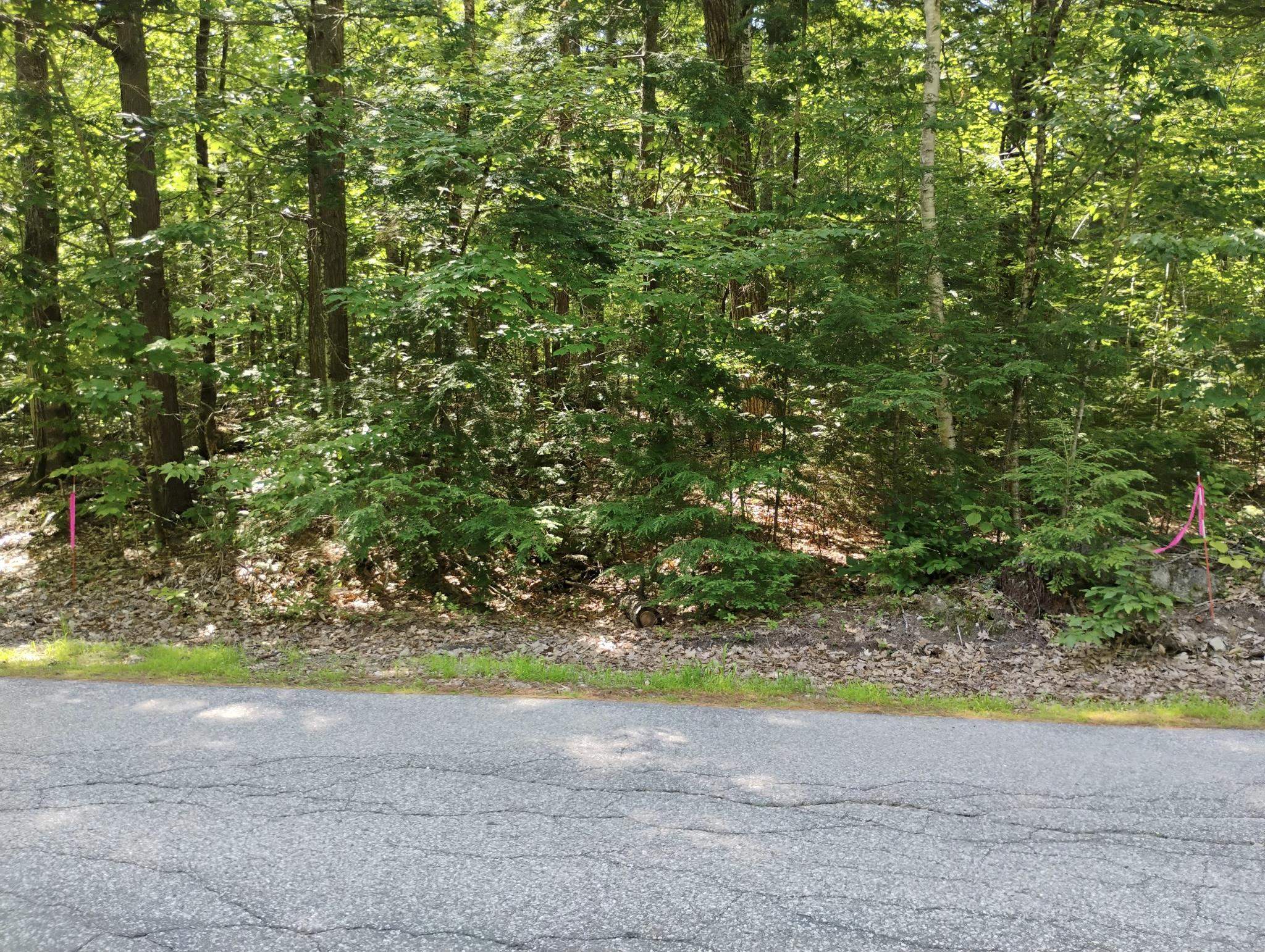 101-15-1 North Shore Rd, New Durham, NH 03855