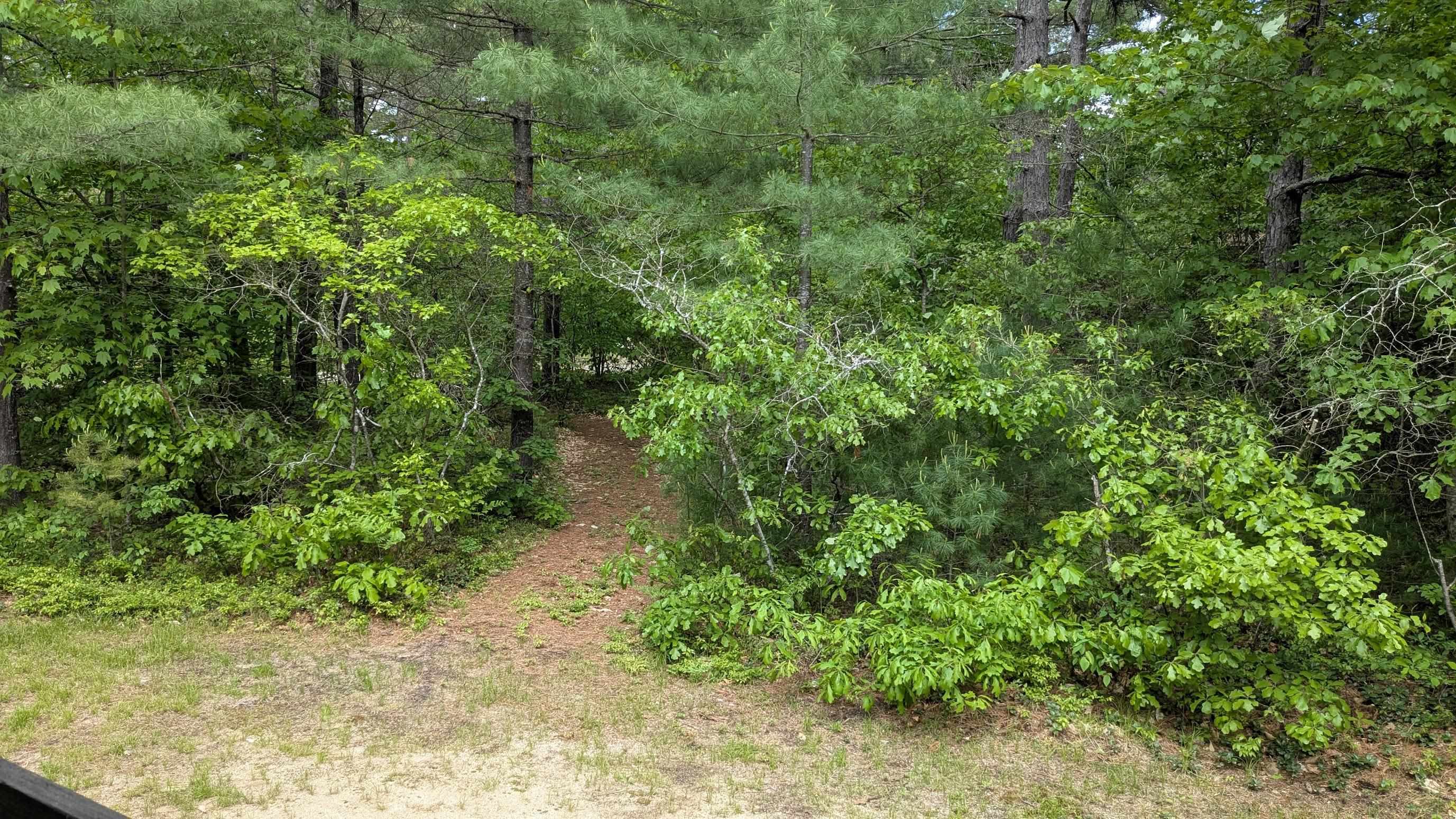 31 Mcgrew Dr, Tamworth, NH 03886