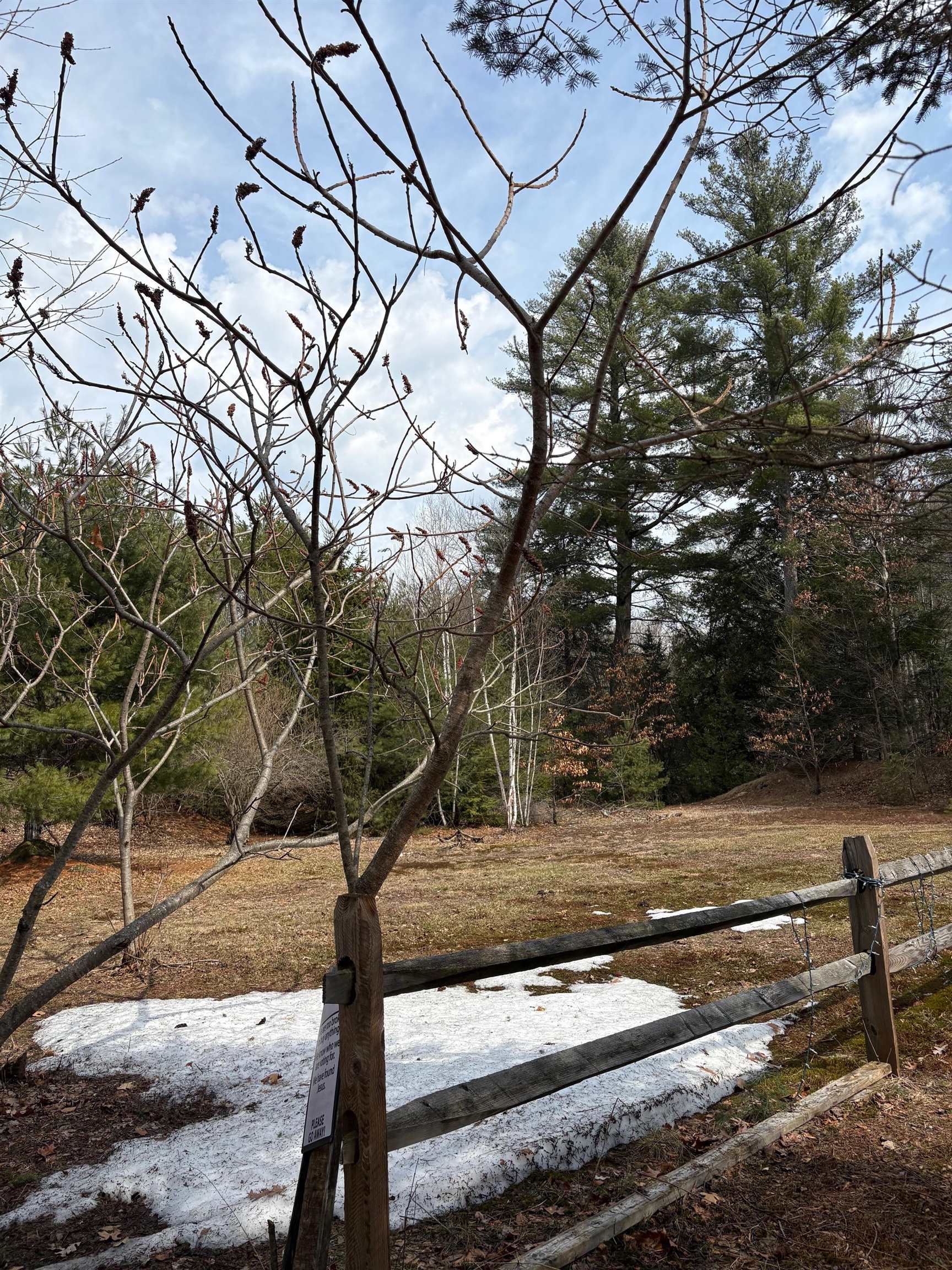 6 S Spaulding Brook Rd, Brookline, NH 03033