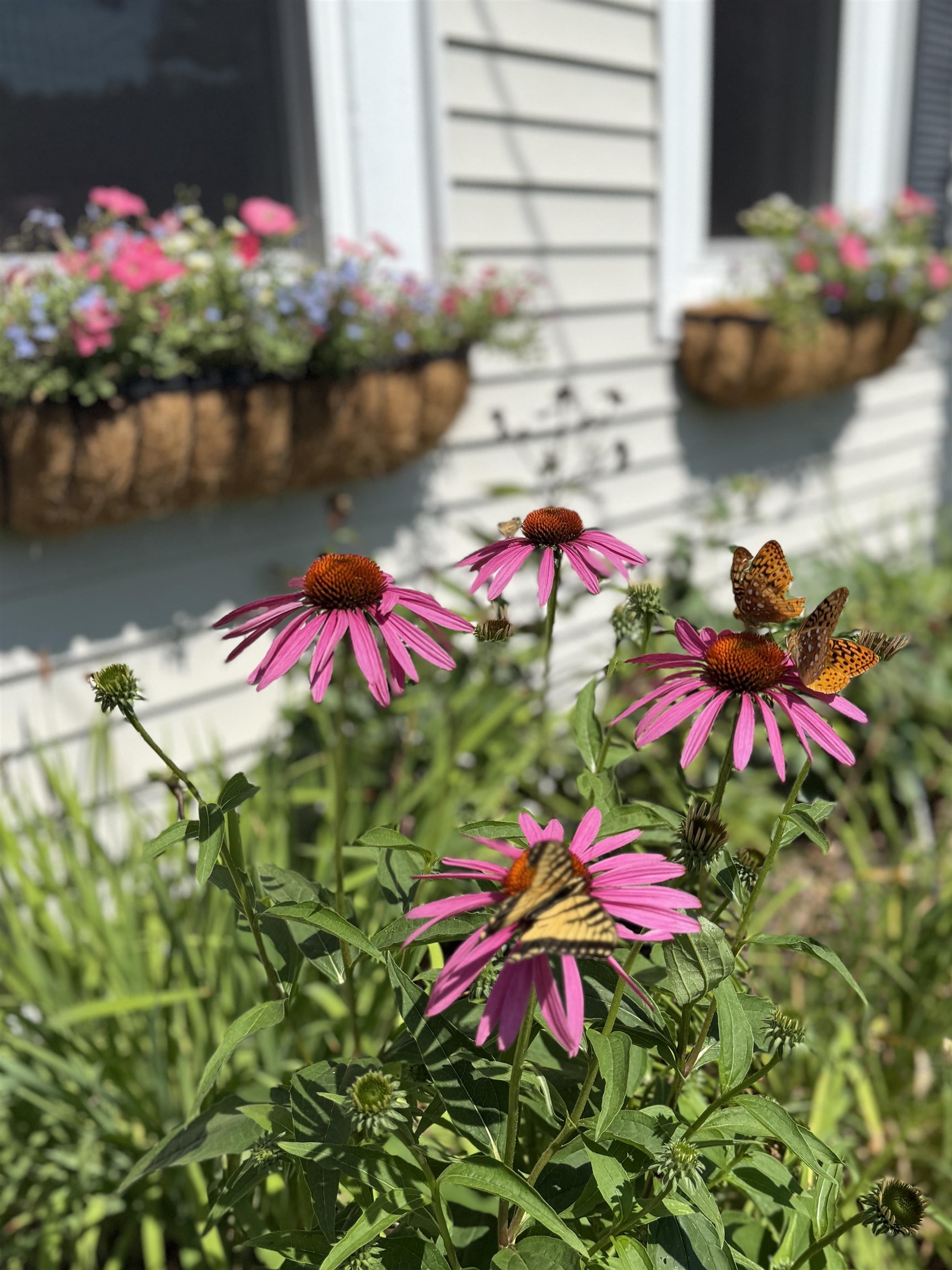 163 Pumpkin Hill Rd, Warner, NH 03278