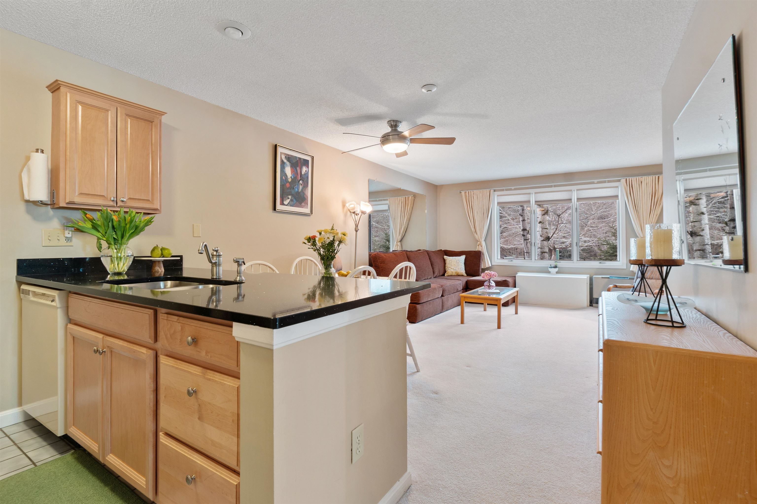 10 Lakeside W Dr #53, Woodstock, NH 03262