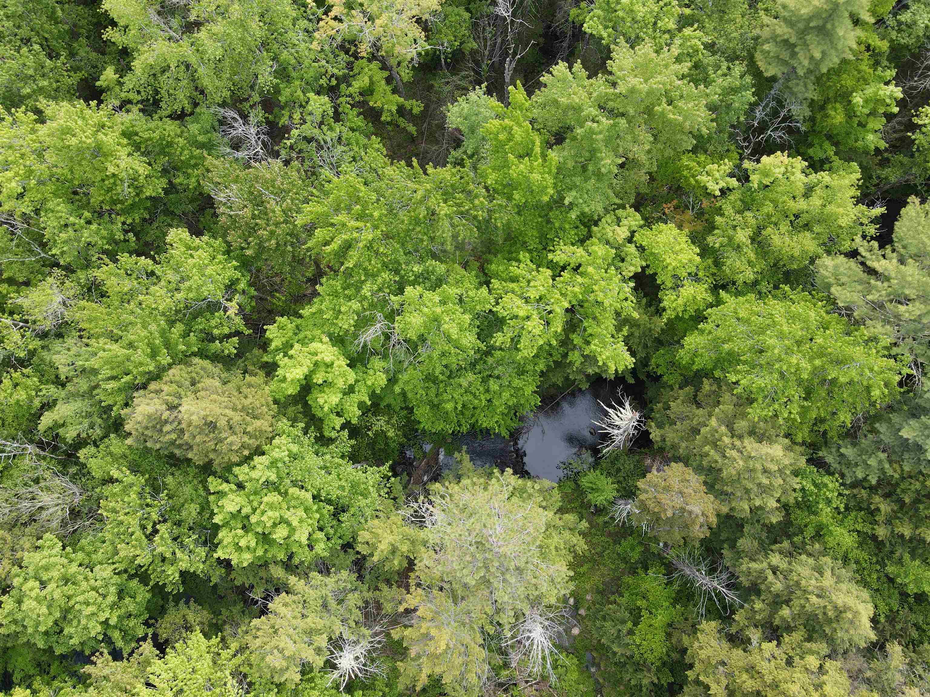 15 Adams Way, Middleton, NH 03887