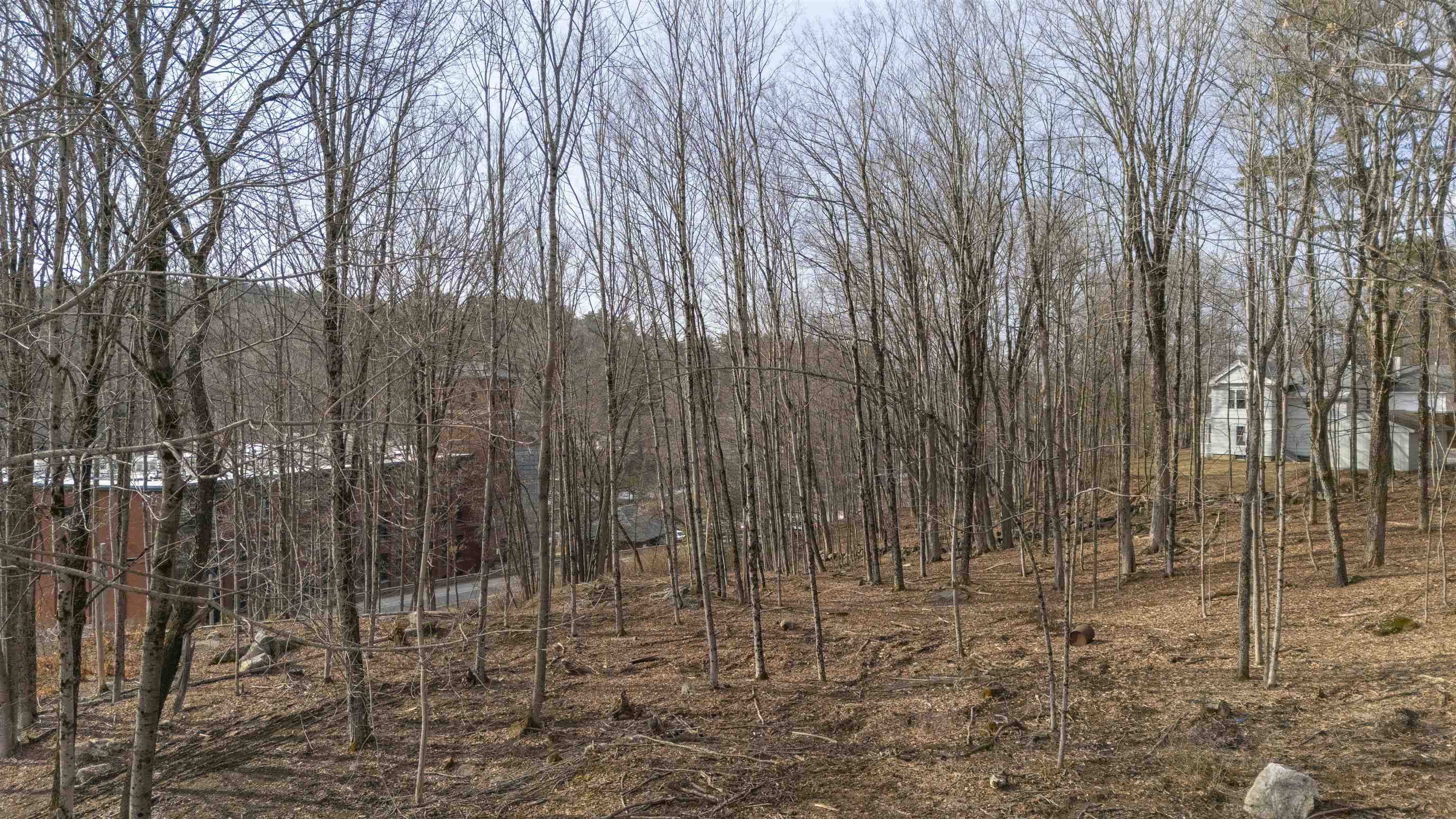 Lot 23 Sunapee St, Newport, NH 03773